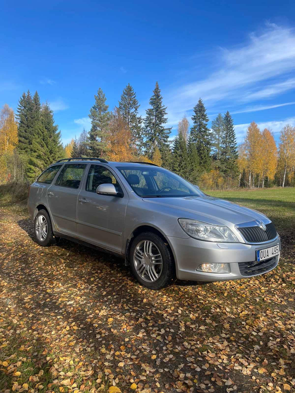 Skoda Octavia Kombi 1.8 TSI 4x4 Manuell 2009, bild 2/5