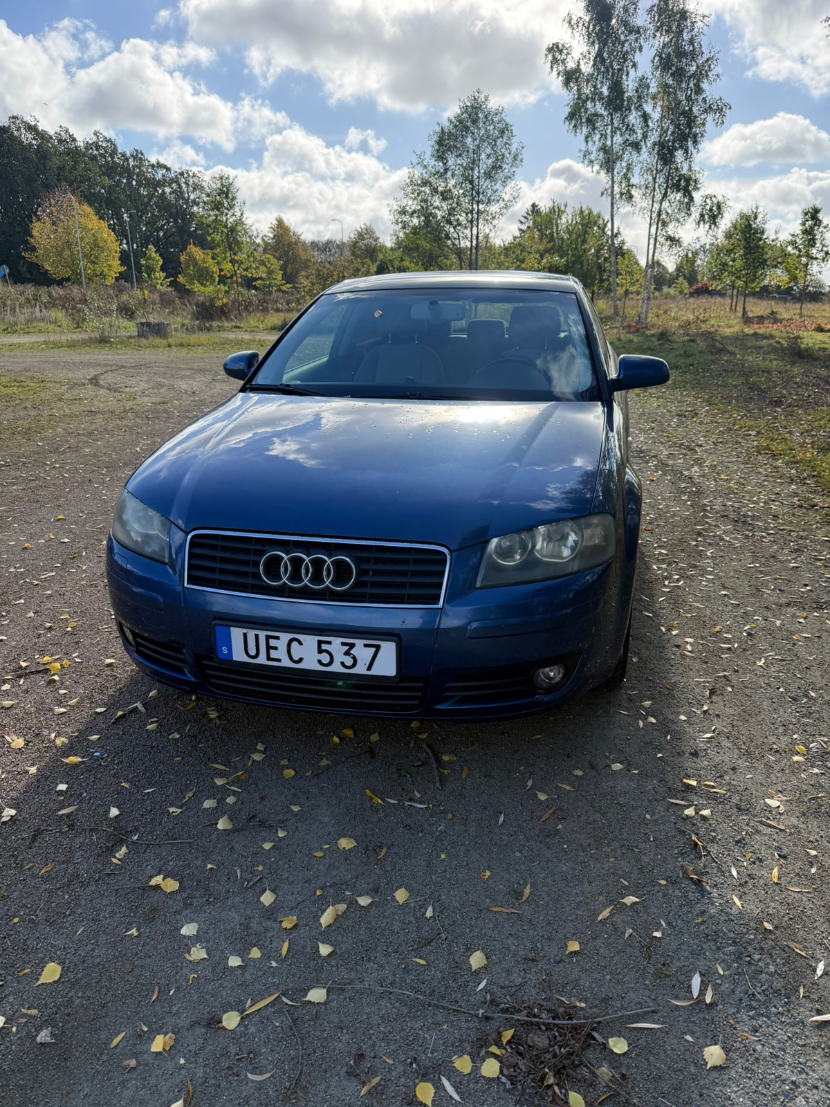 Audi A3 2.0 FSI 16v Manuell 2004, bild 2/7