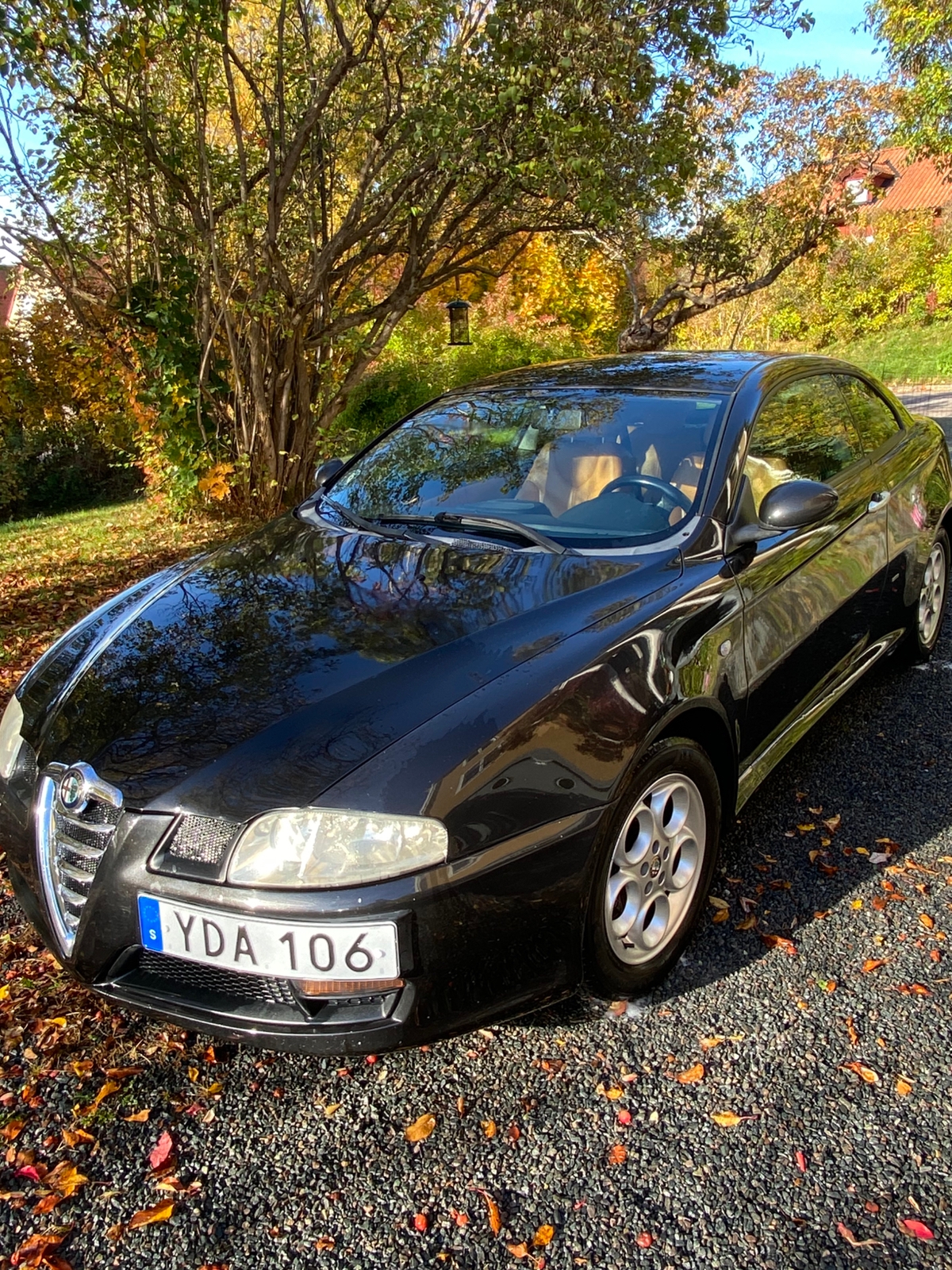 Alfa Romeo GT