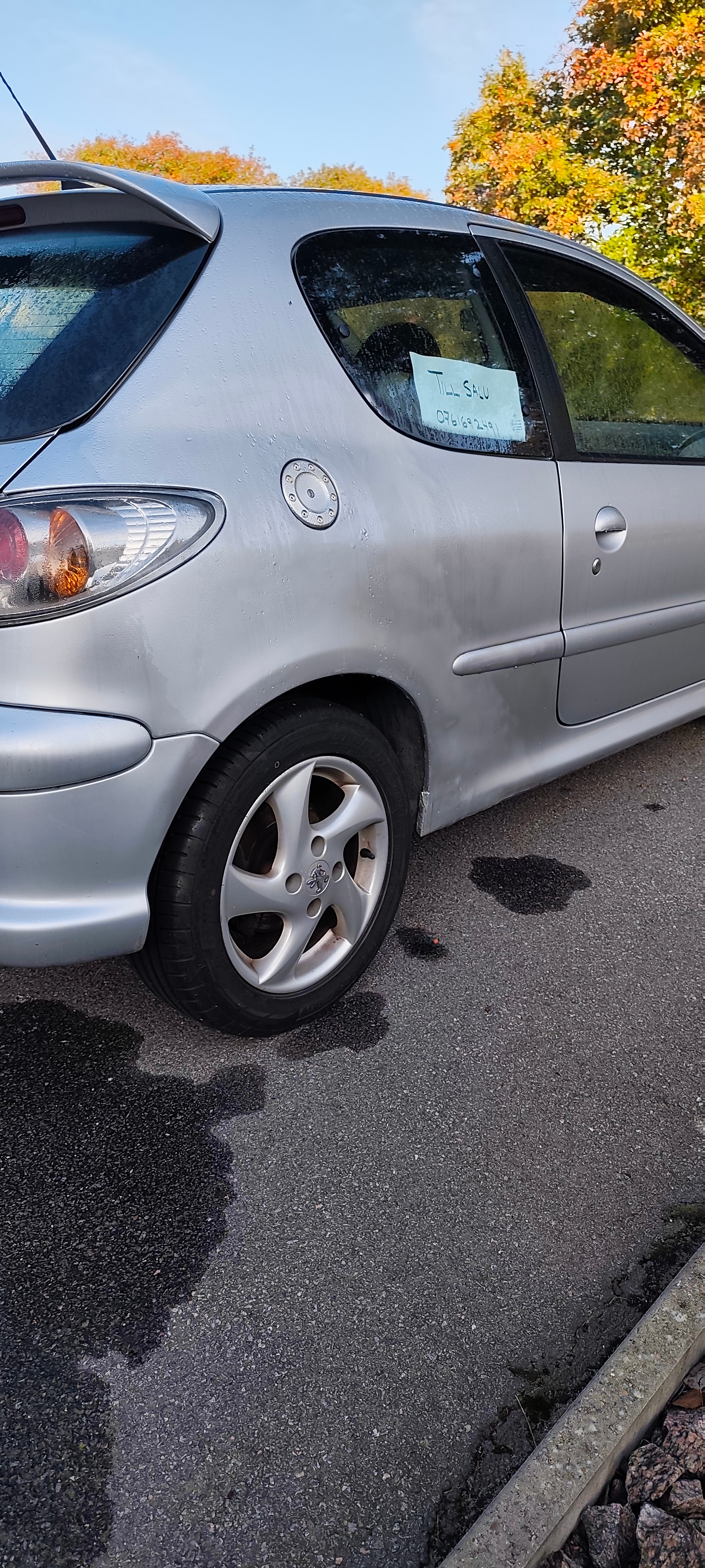 Peugeot 206 3-dörrar 1.6 Manuell 2006, bild 5/6
