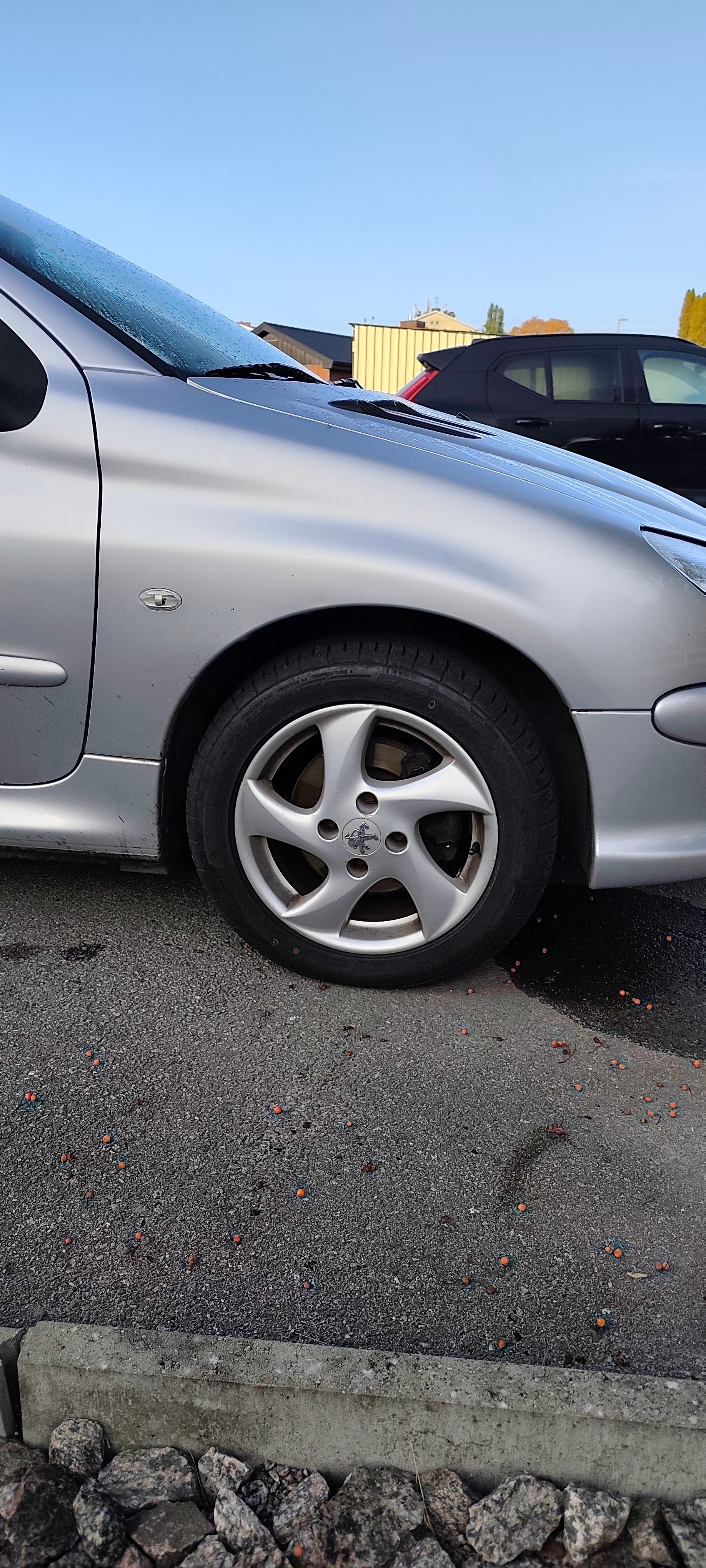 Peugeot 206 3-dörrar 1.6 Manuell 2006, bild 6/6