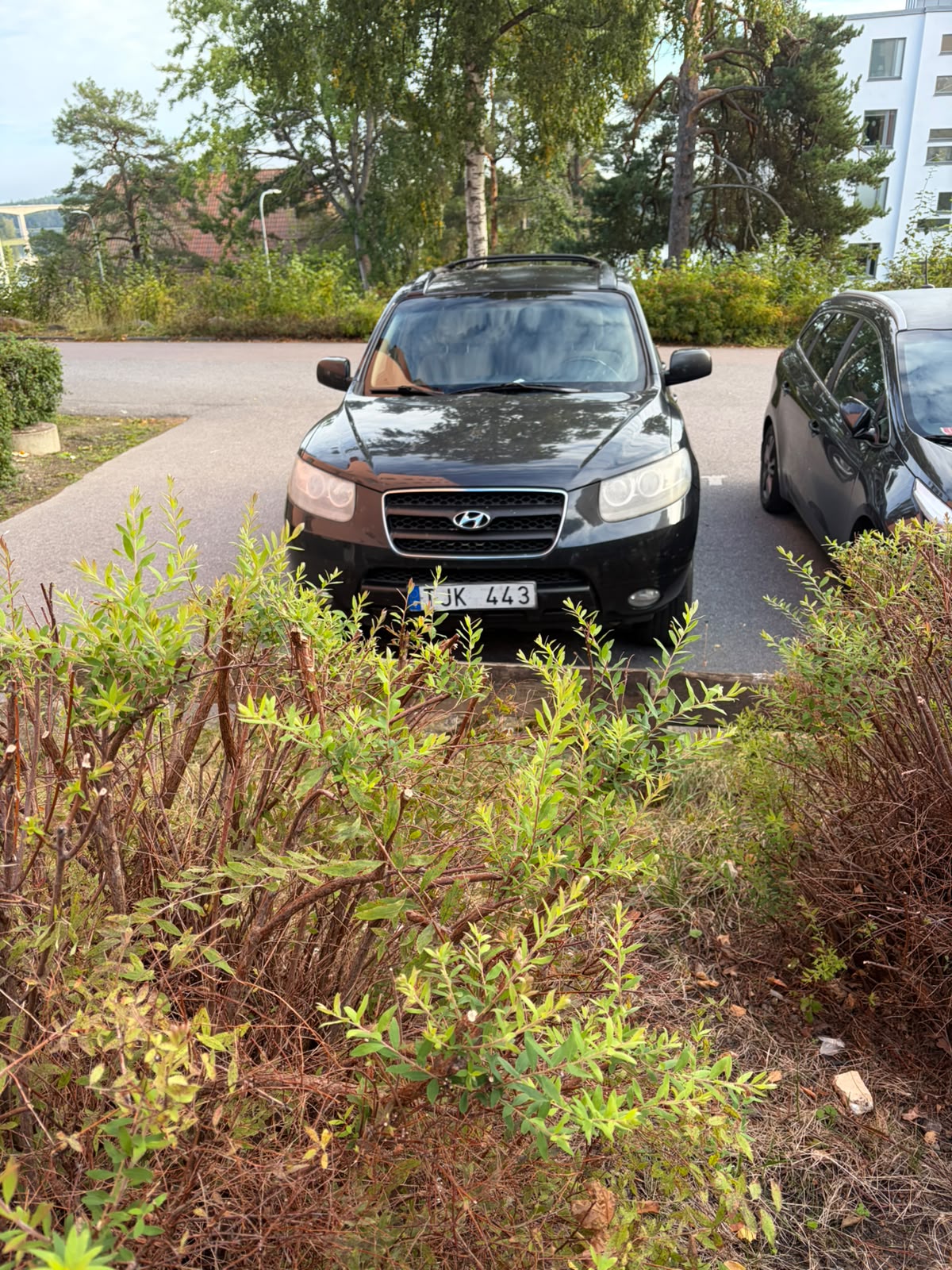 Hyundai Santa Fe 2007, photo 7/7