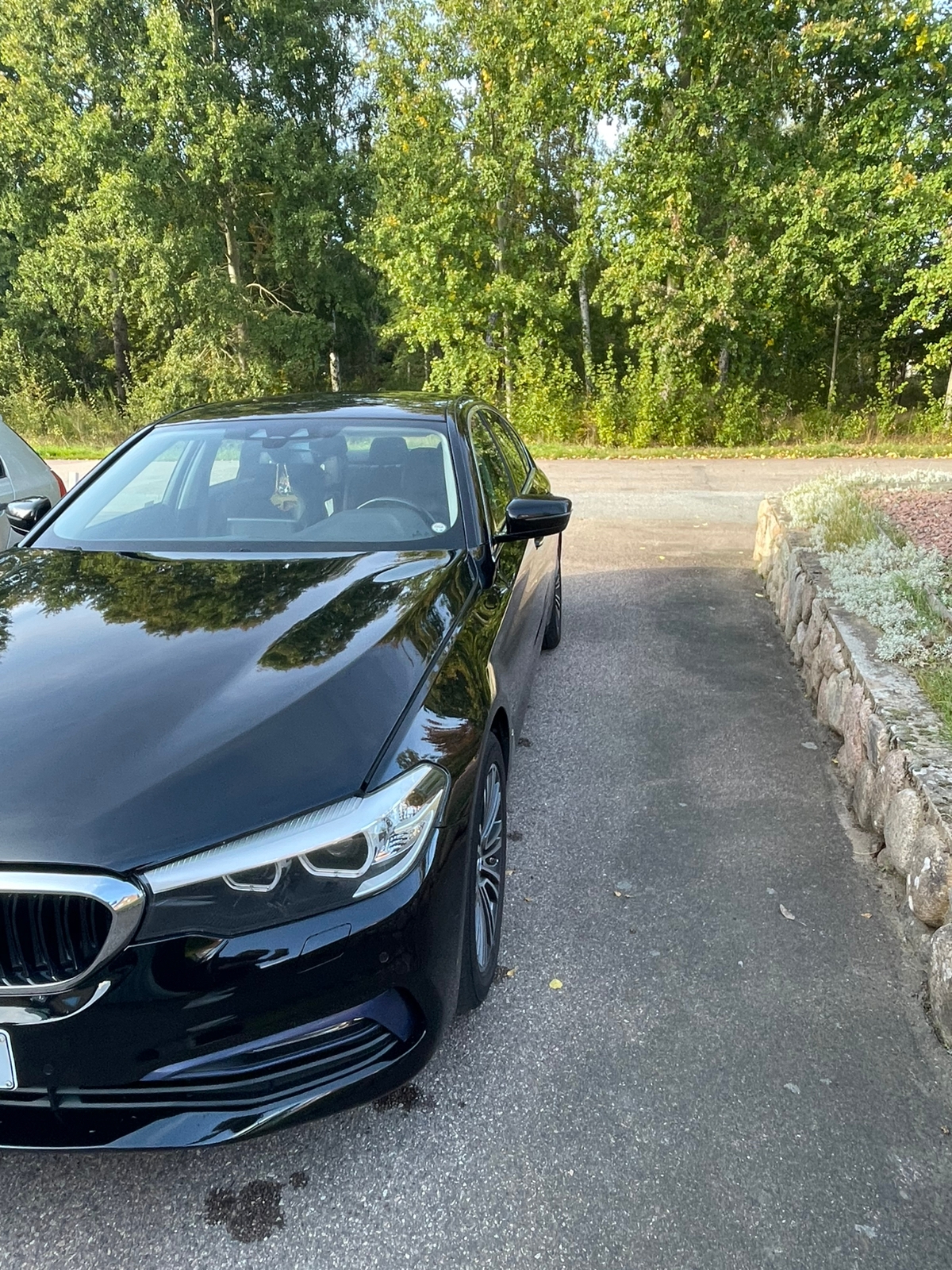 BMW 520 d Sedan Steptronic 2018, bild 3/10
