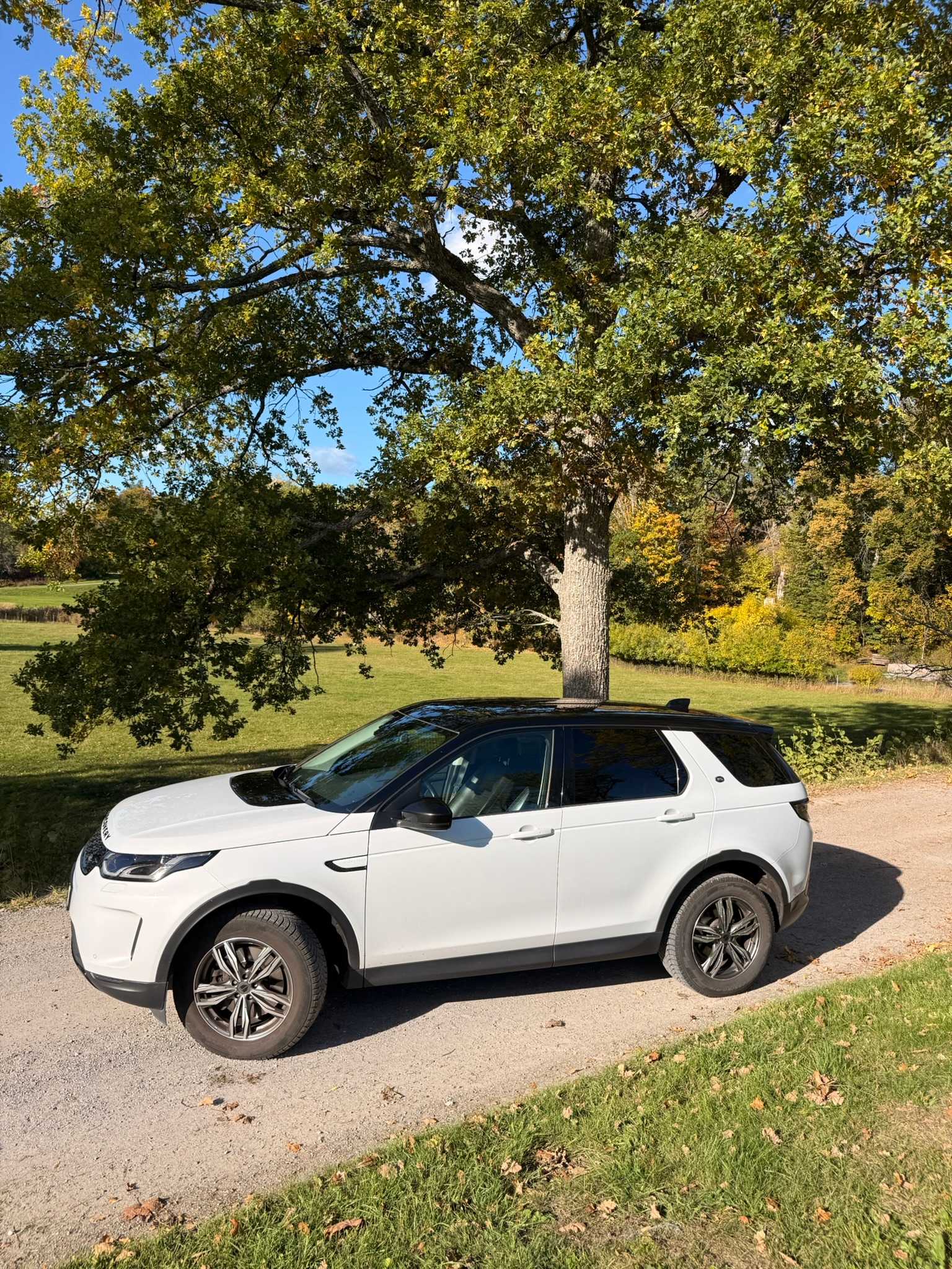 Land Rover Discovery Sport 2020, bild 2/10