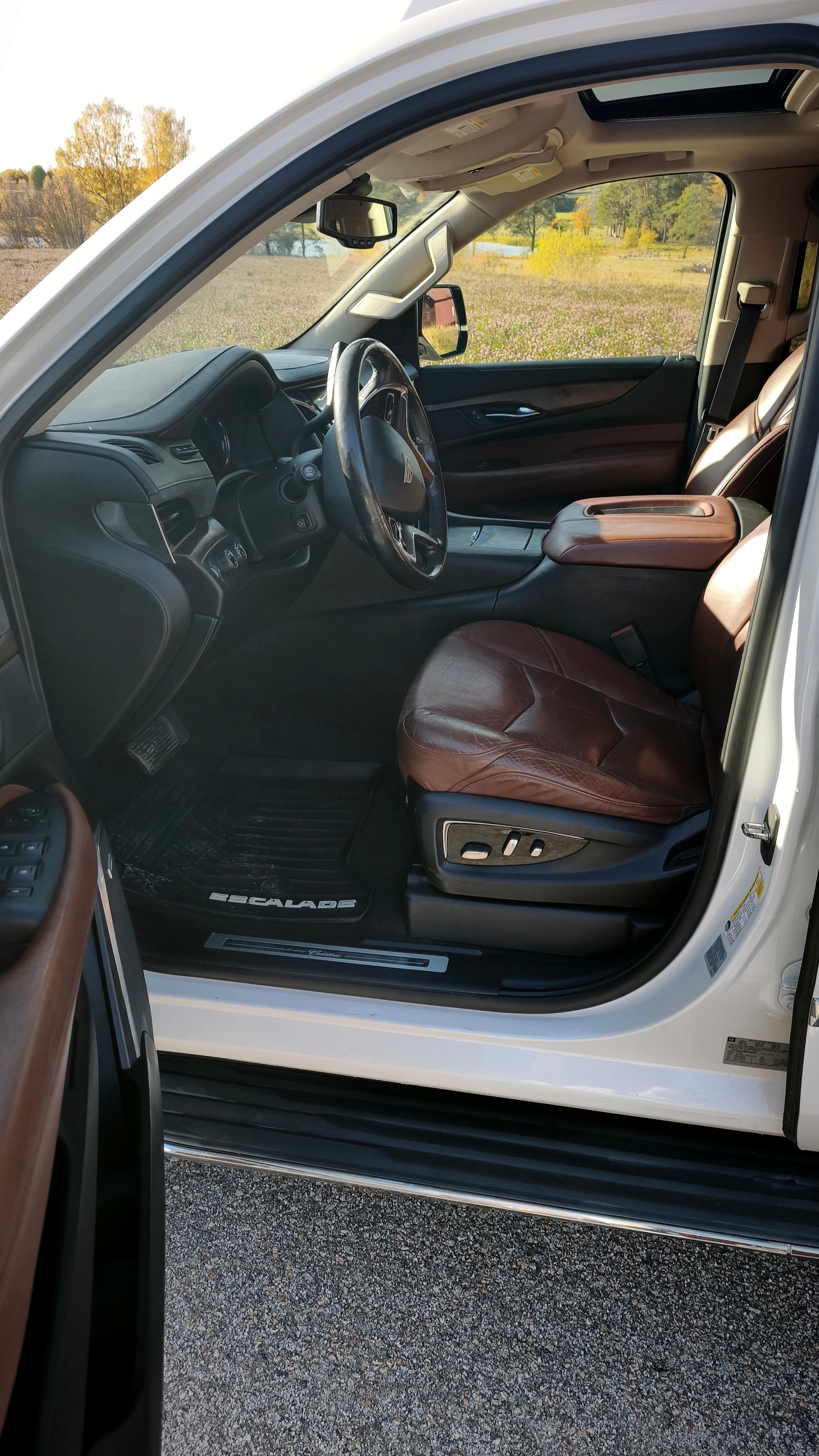 Cadillac Escalade 2016, bild 4/5