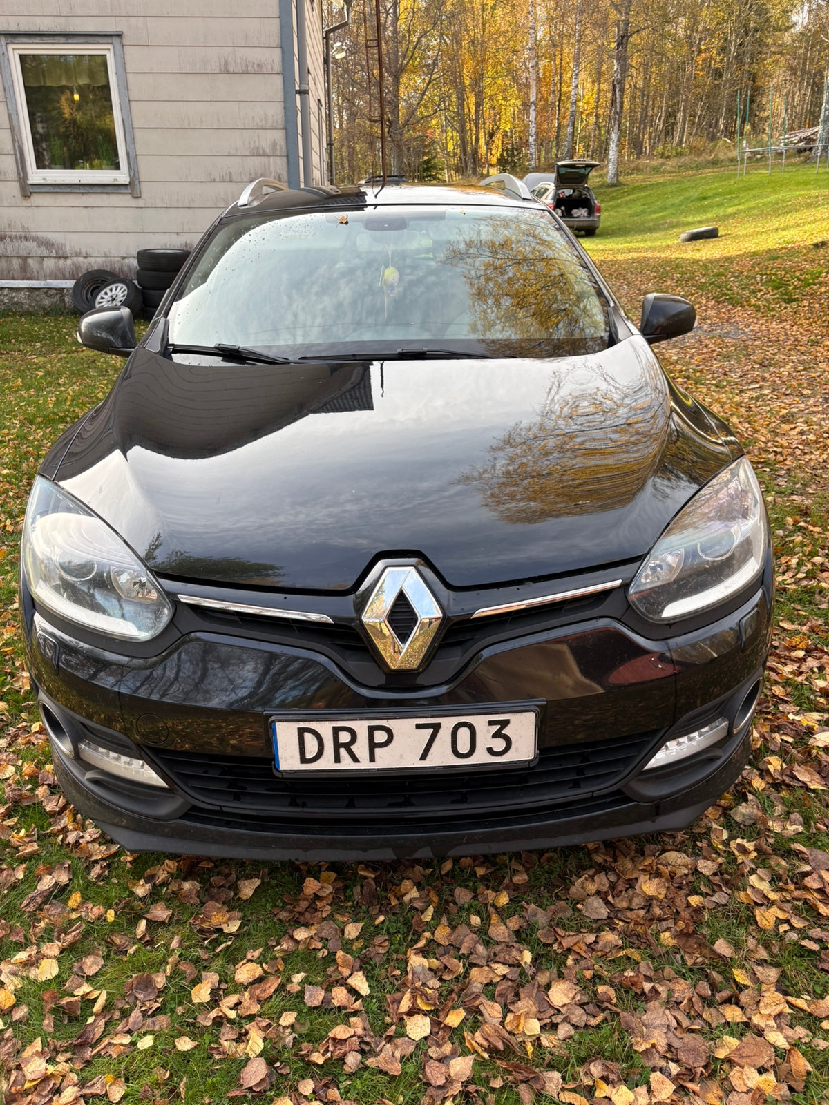 Renault Megane 2015, bild 2/10