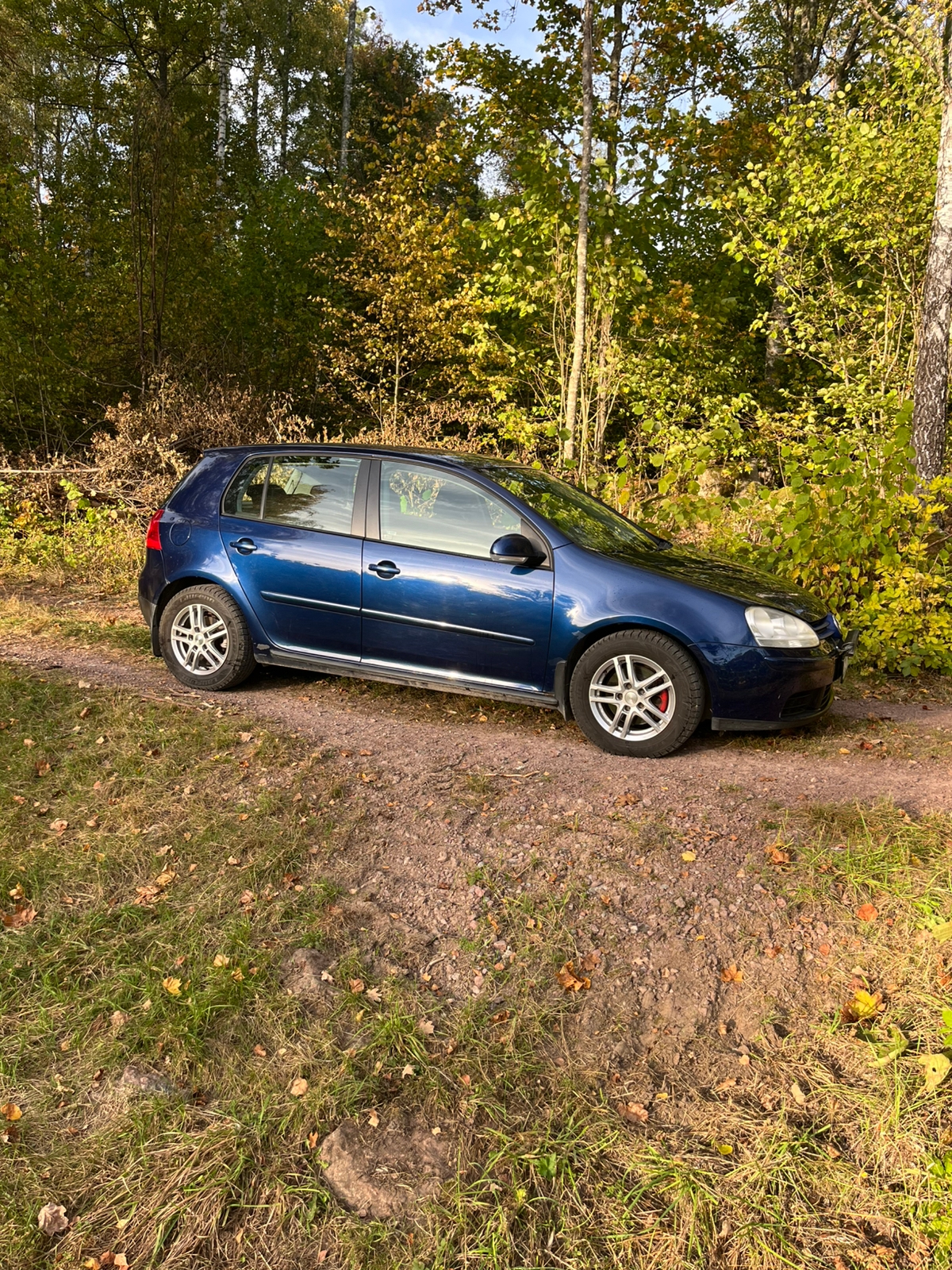 Volkswagen Golf 2008, kuva 2/10