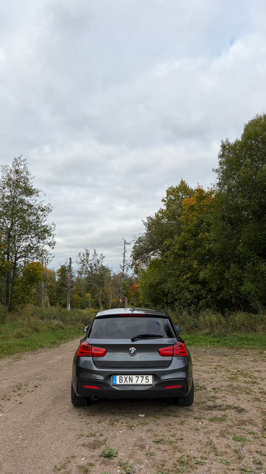 BMW 118i M Sport 2018, bild 6/10