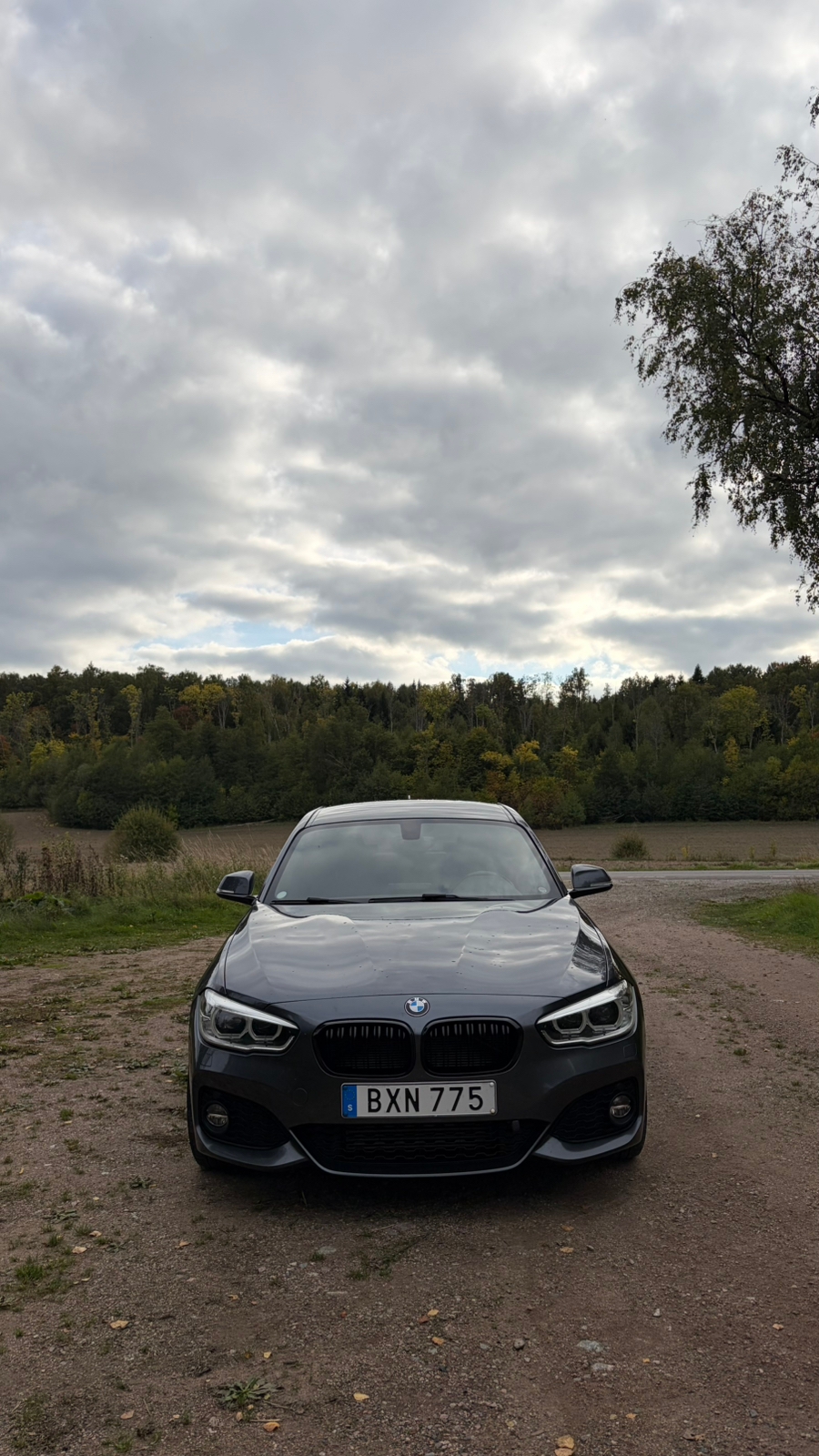 BMW 118i M Sport 2018, bild 2/10