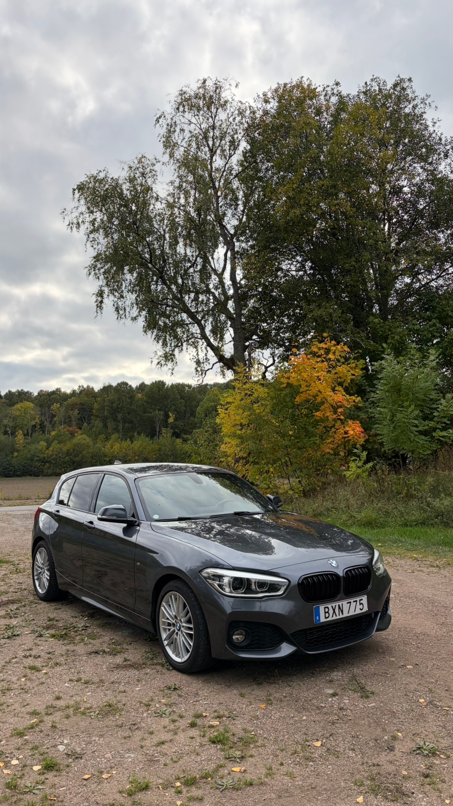 BMW 118i M Sport 2018, bild 3/10