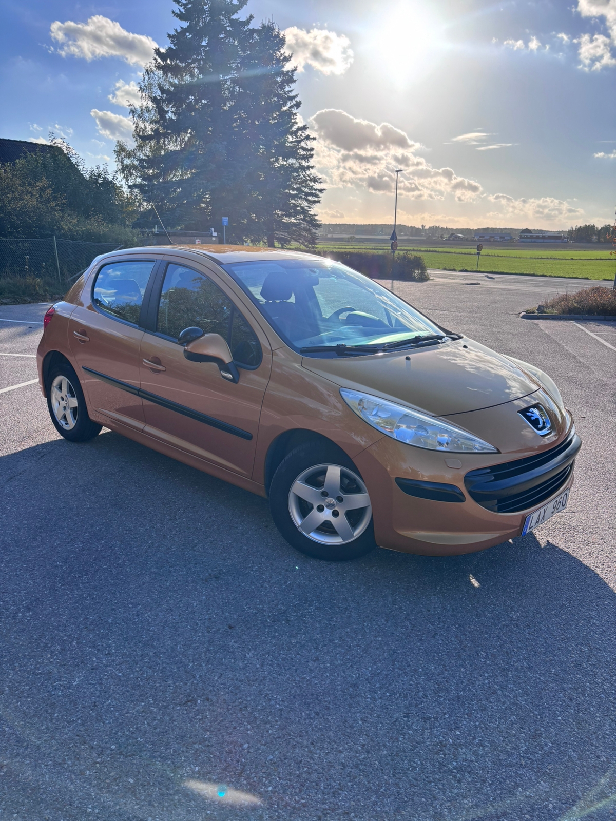 Peugeot 207 5-dörrar 1.4 Manuell 2007, bild 3/10
