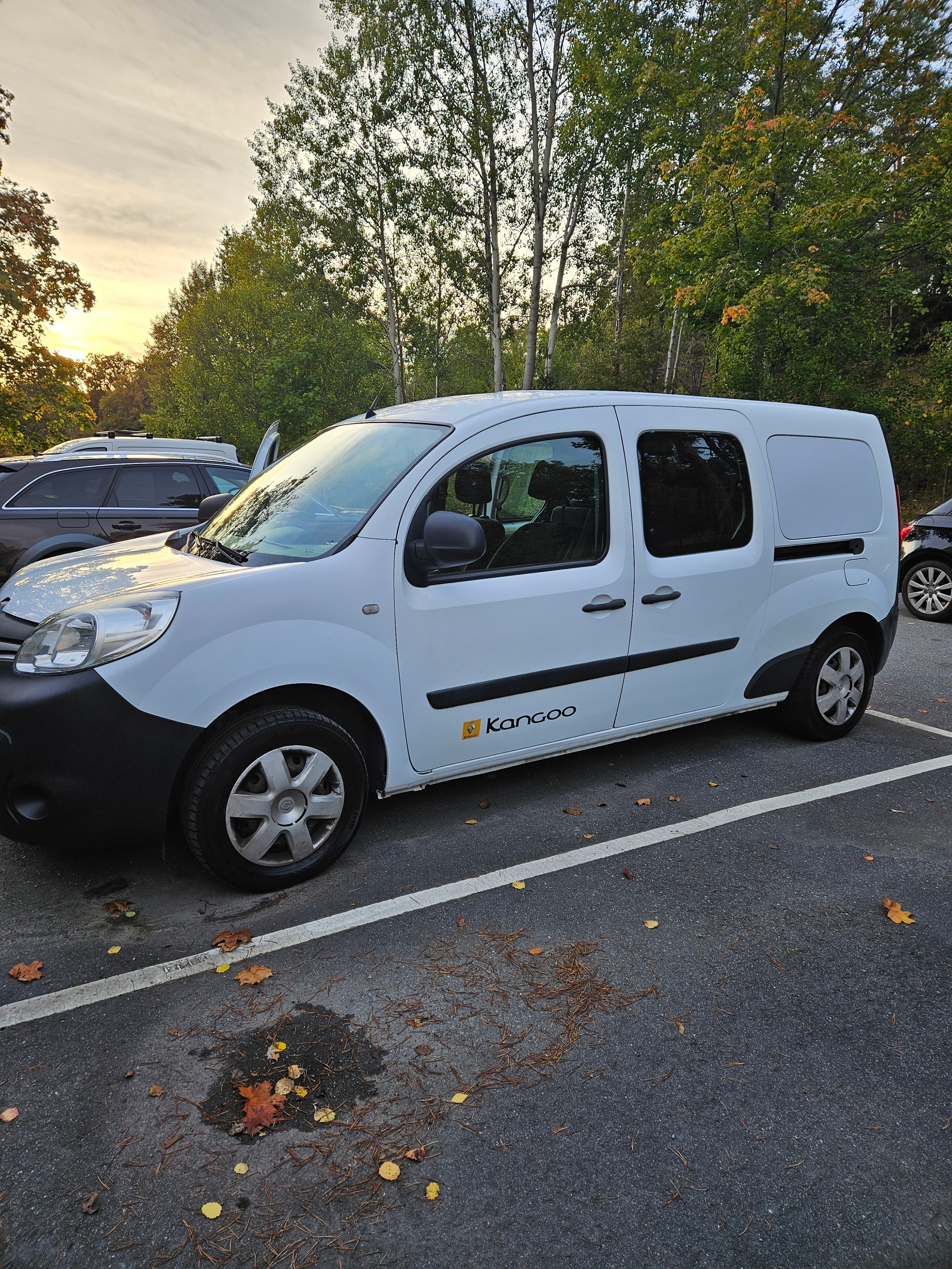 Renault Grand Kangoo 2014, photo 5/10