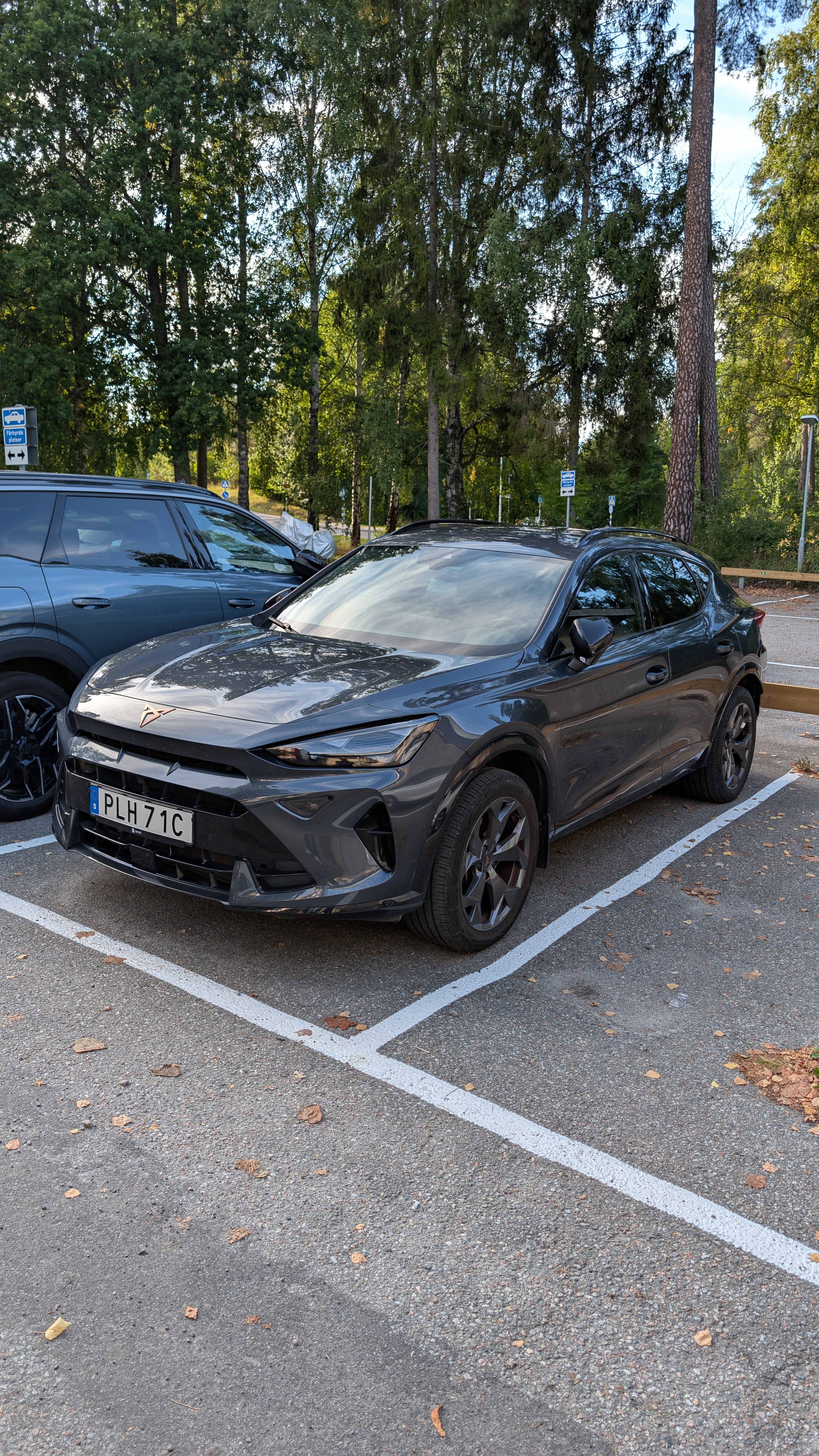 Cupra Formentor 1.5 eTSI DSG Sekventiell 2025, bild 3/9