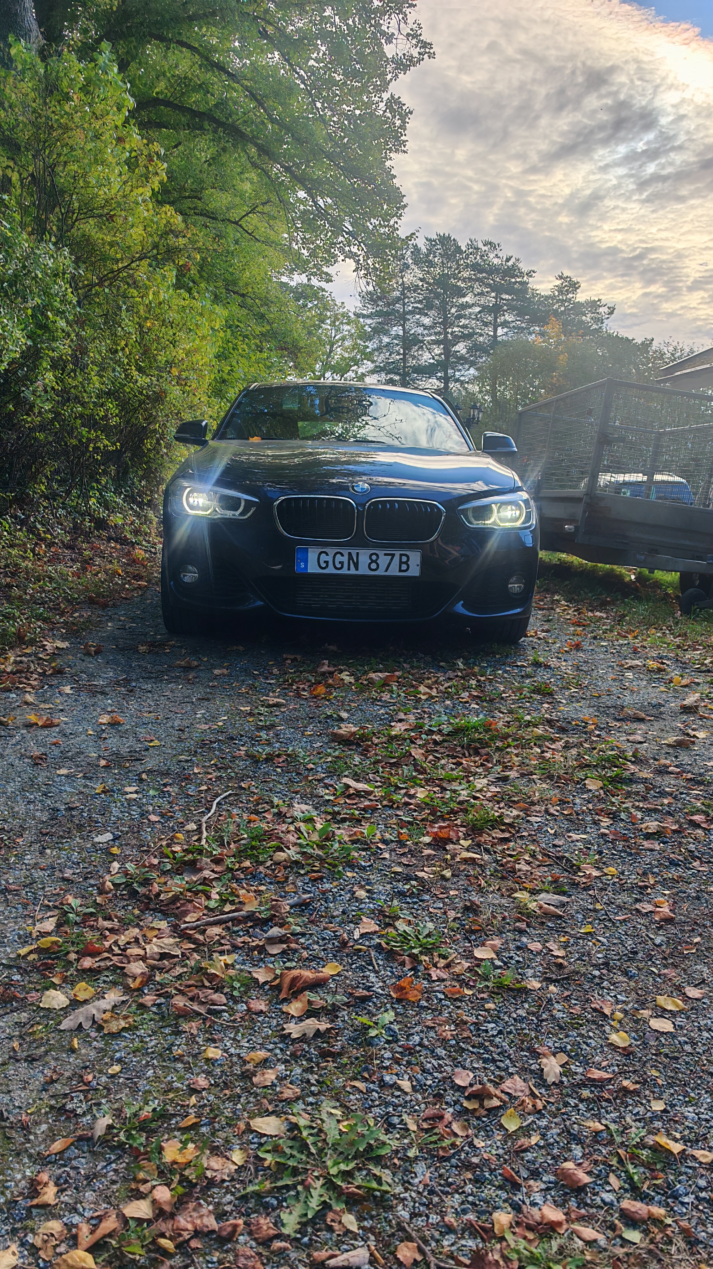 BMW 120 d xDrive 5-dörrars Steptronic 2019, photo 5/8