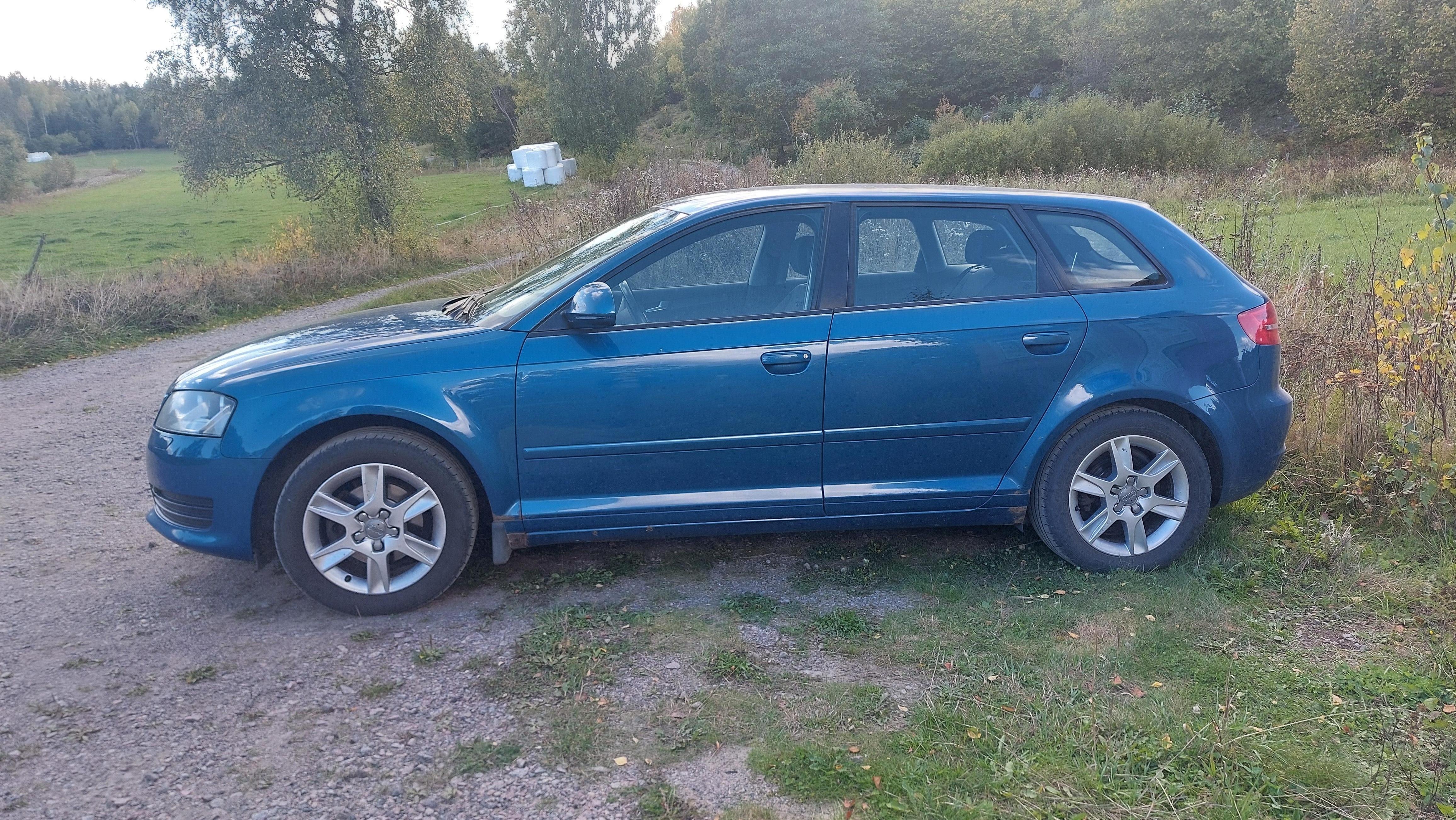Audi A3 Sportback 1.6 E-Power 8v Manuell 2009, kuva 2/10
