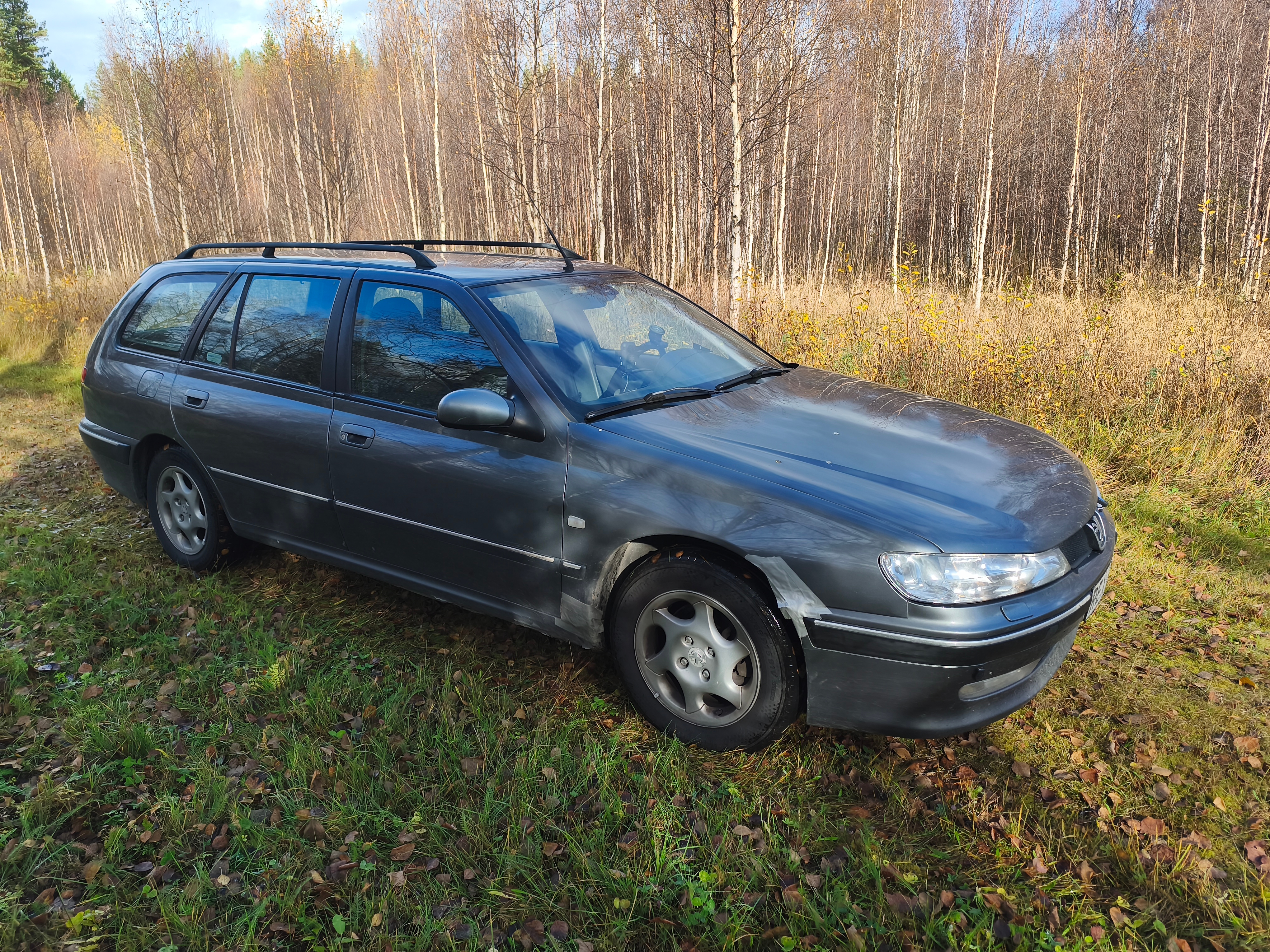 Peugeot 406 Break 2.0 Manuell 2000, bild 2/7