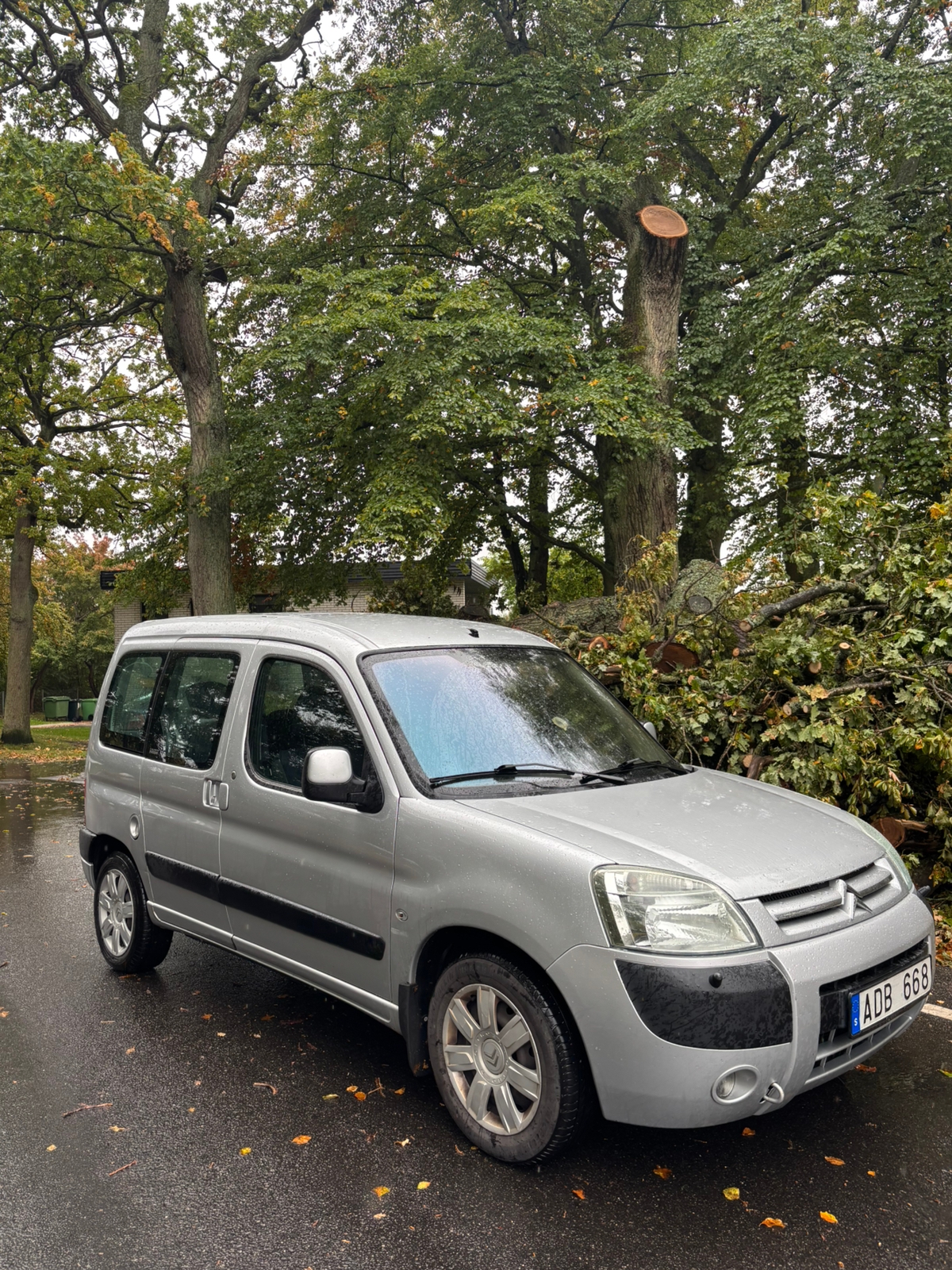 Citroen Berlingo