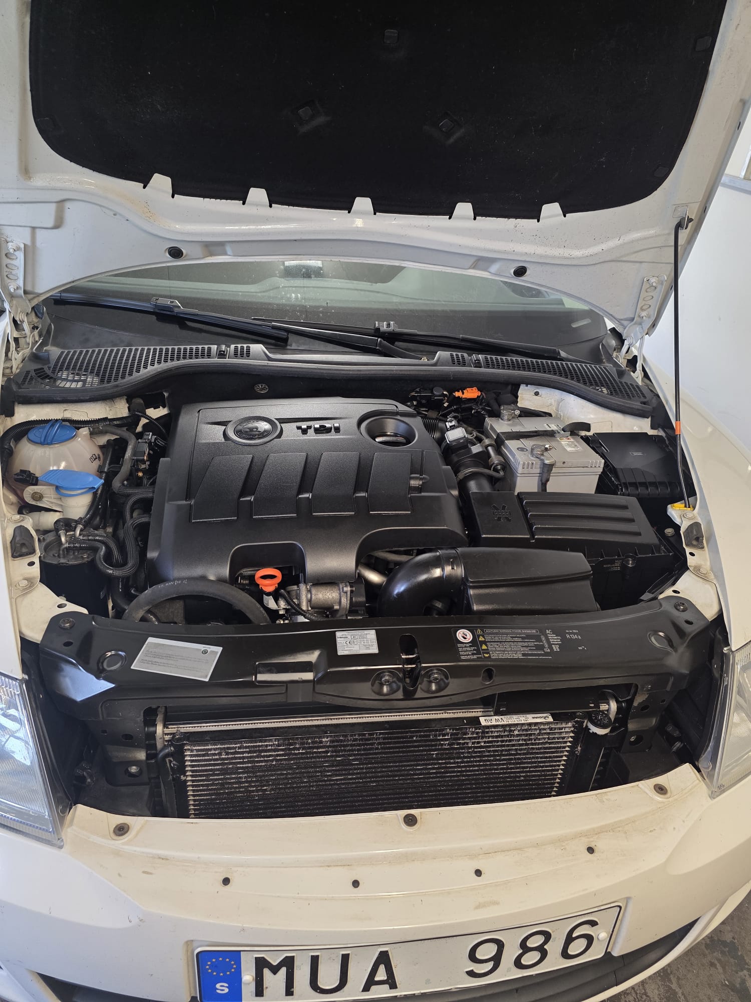 Skoda Octavia 2013, kuva 8/8