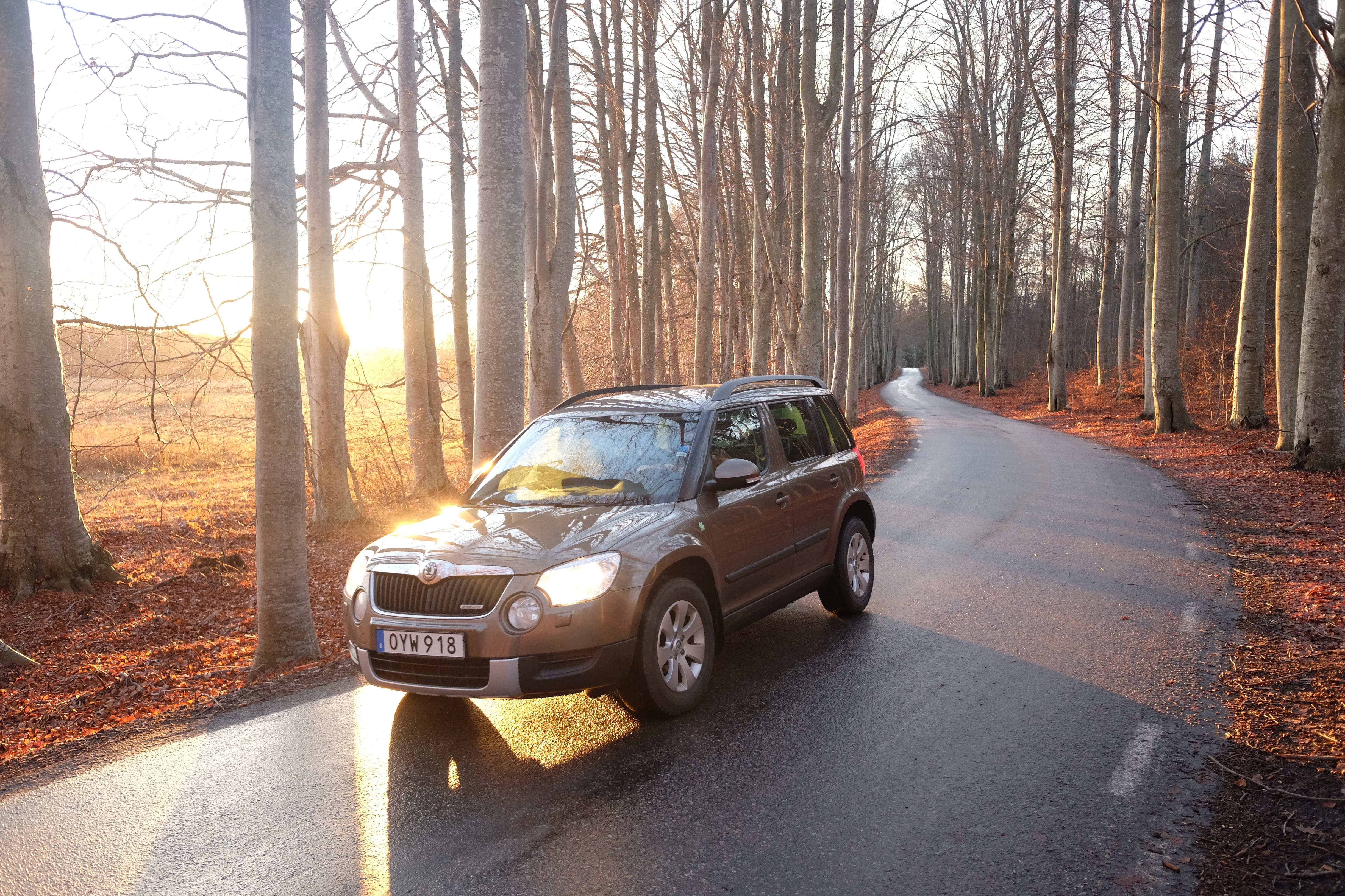 Skoda Yeti 1.6 TDI GreenLine 2012, bild 3/10