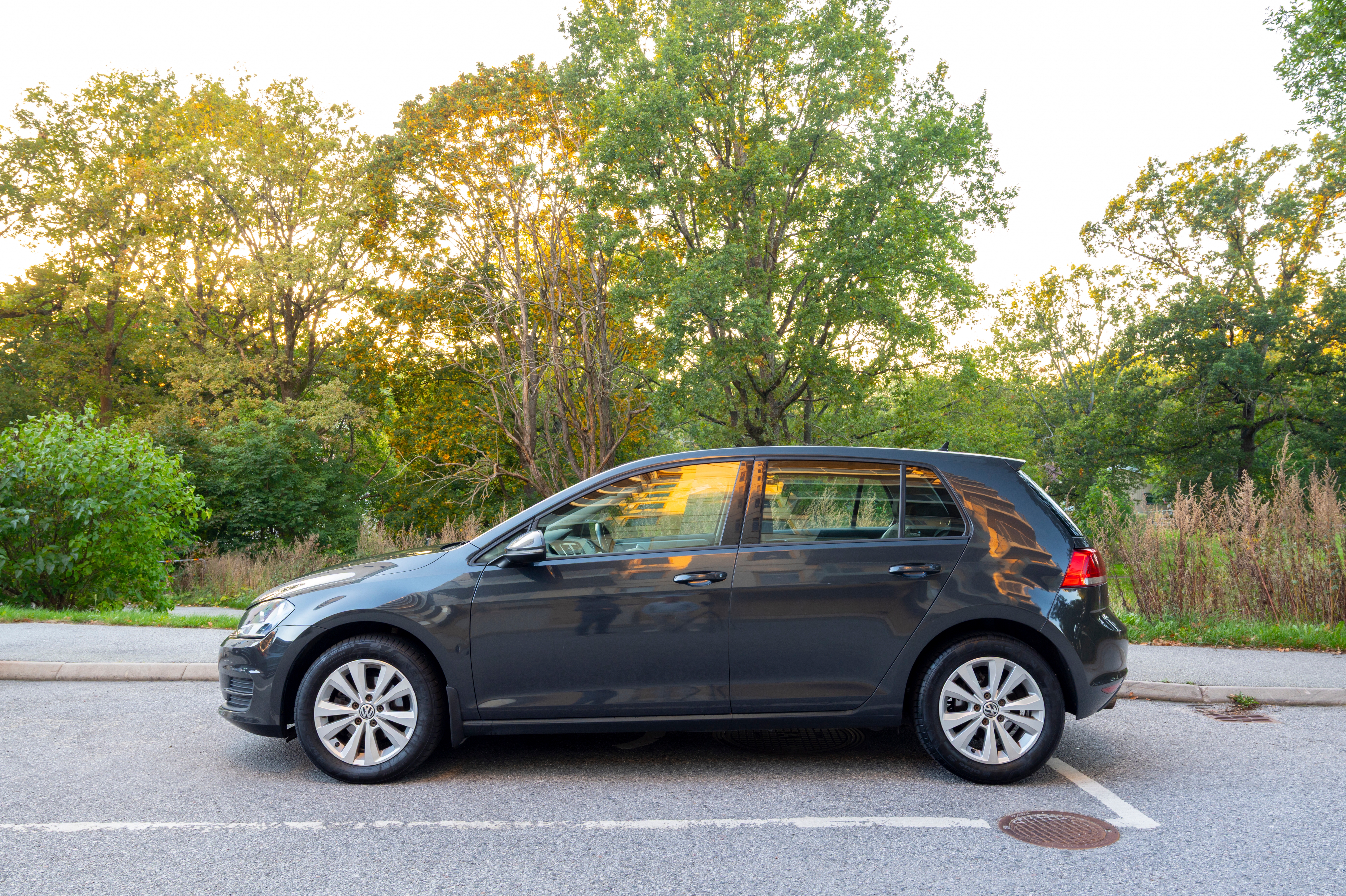 Volkswagen Golf 1.6 TDI 2014, bild 4/8