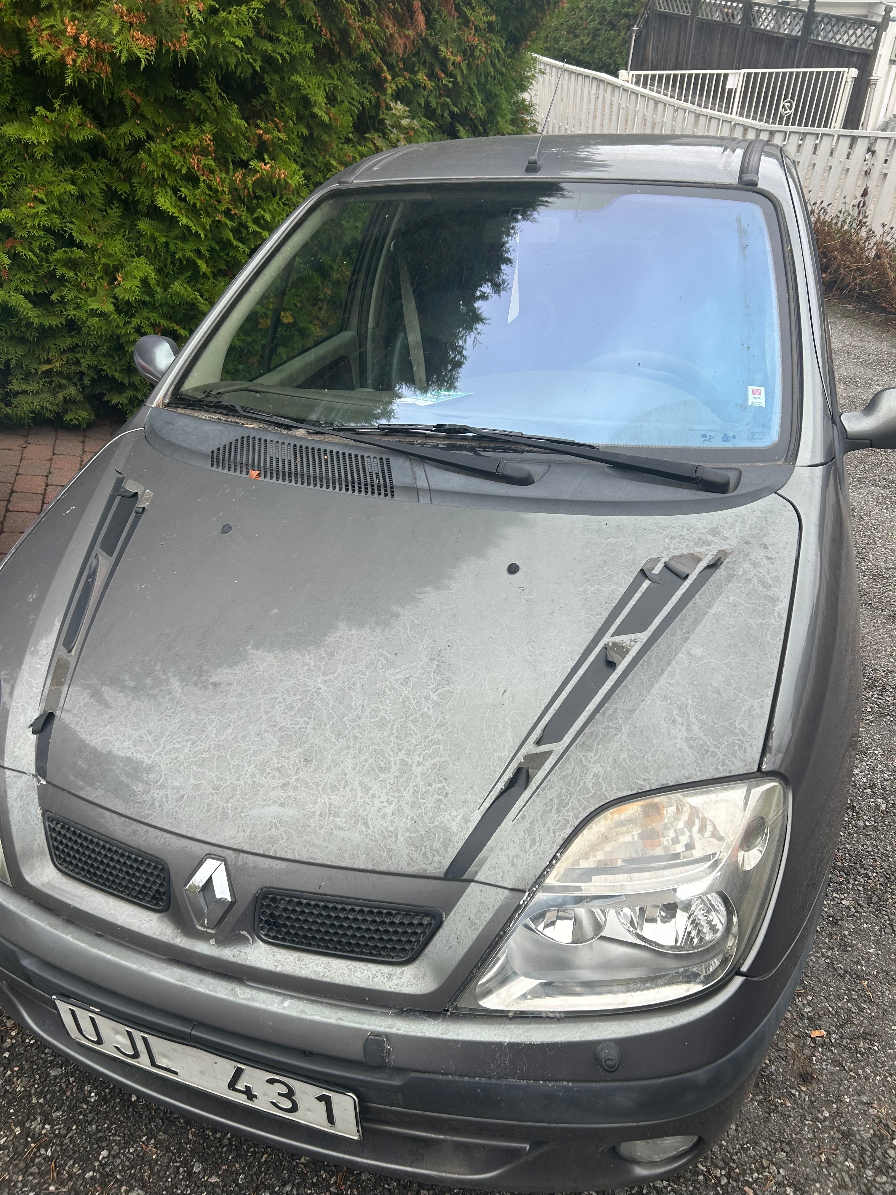 Renault Scenic I 1.6 Automatisk 2003, kuva 2/8