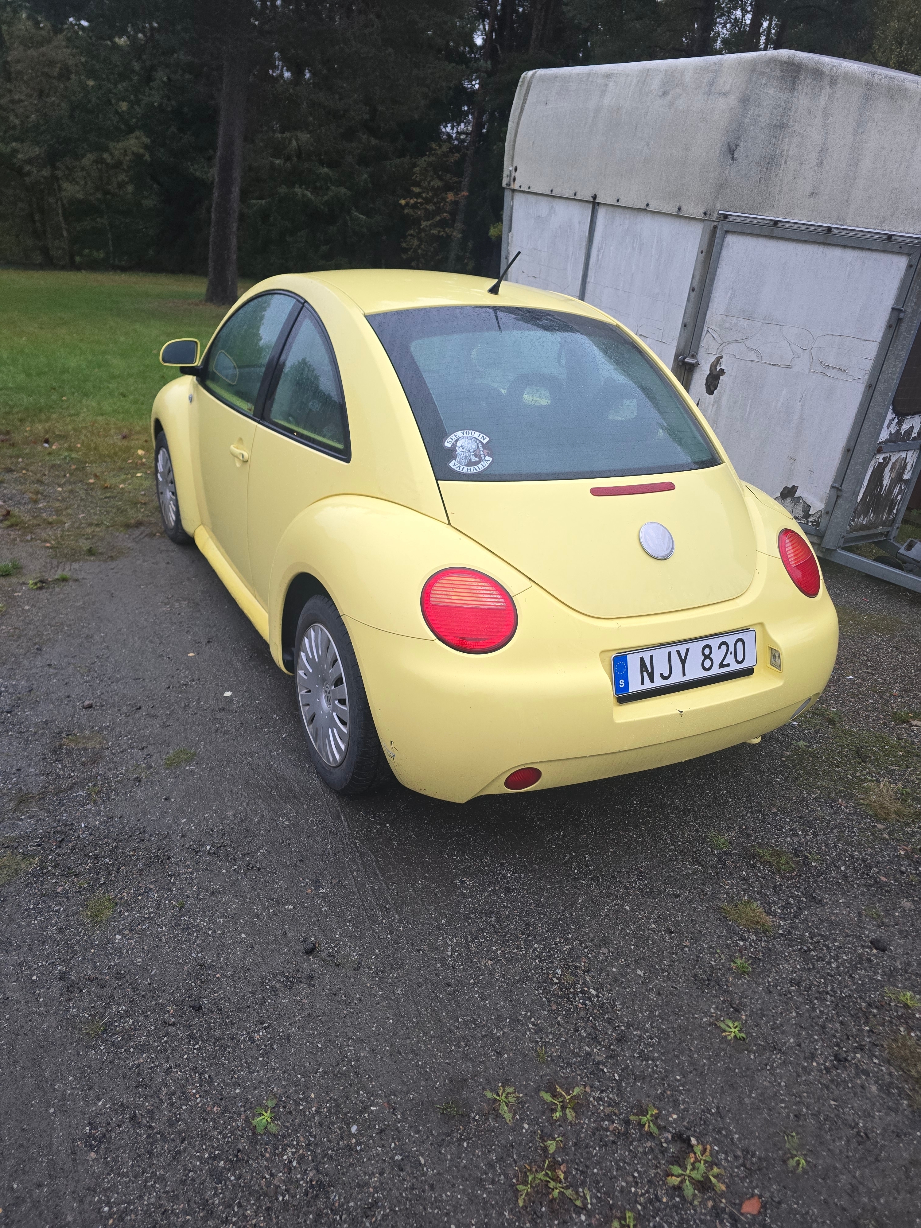 Volkswagen New Beetle 2.0 Manuell 1999, bild 2/6