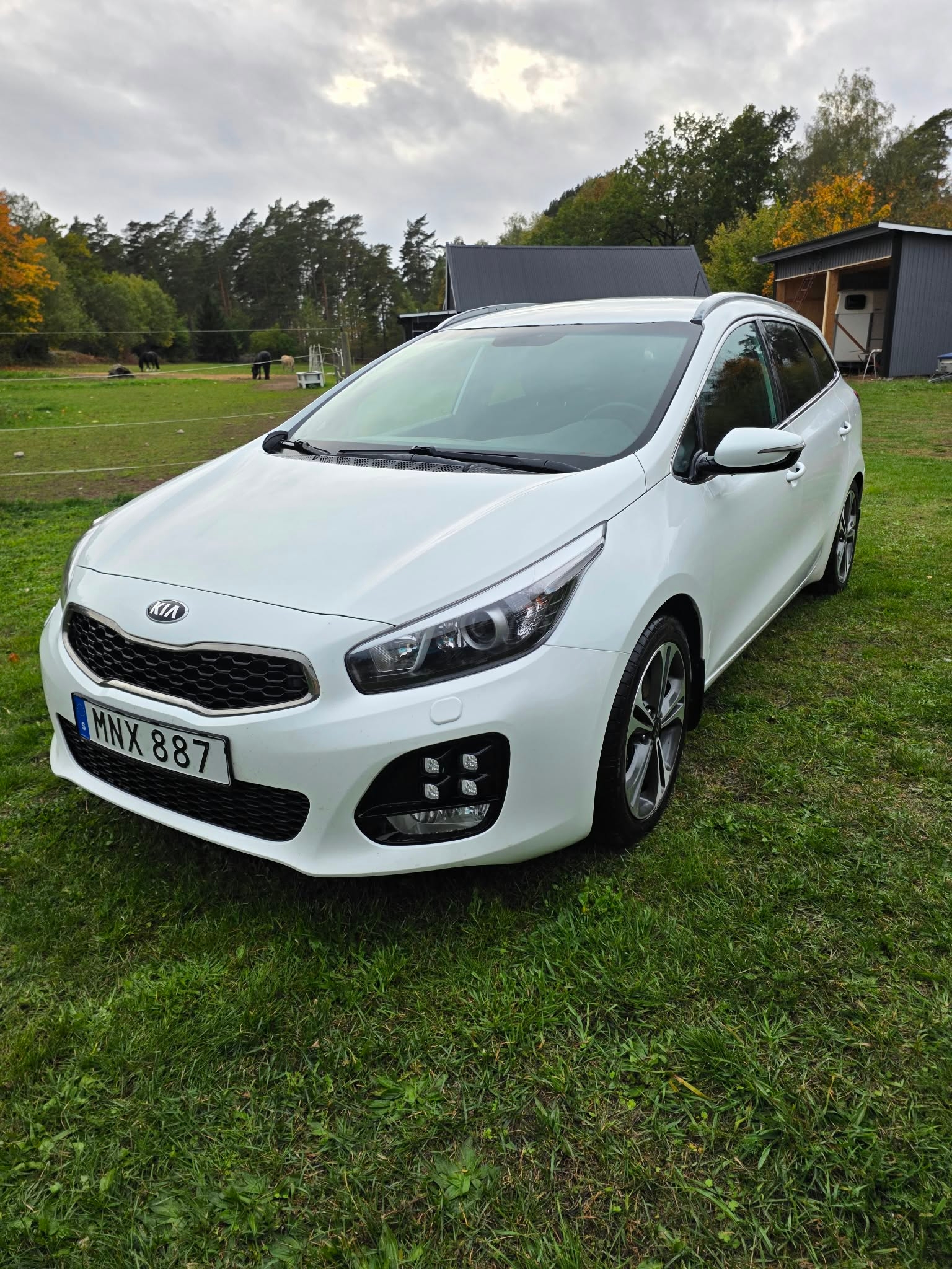 Kia Ceed