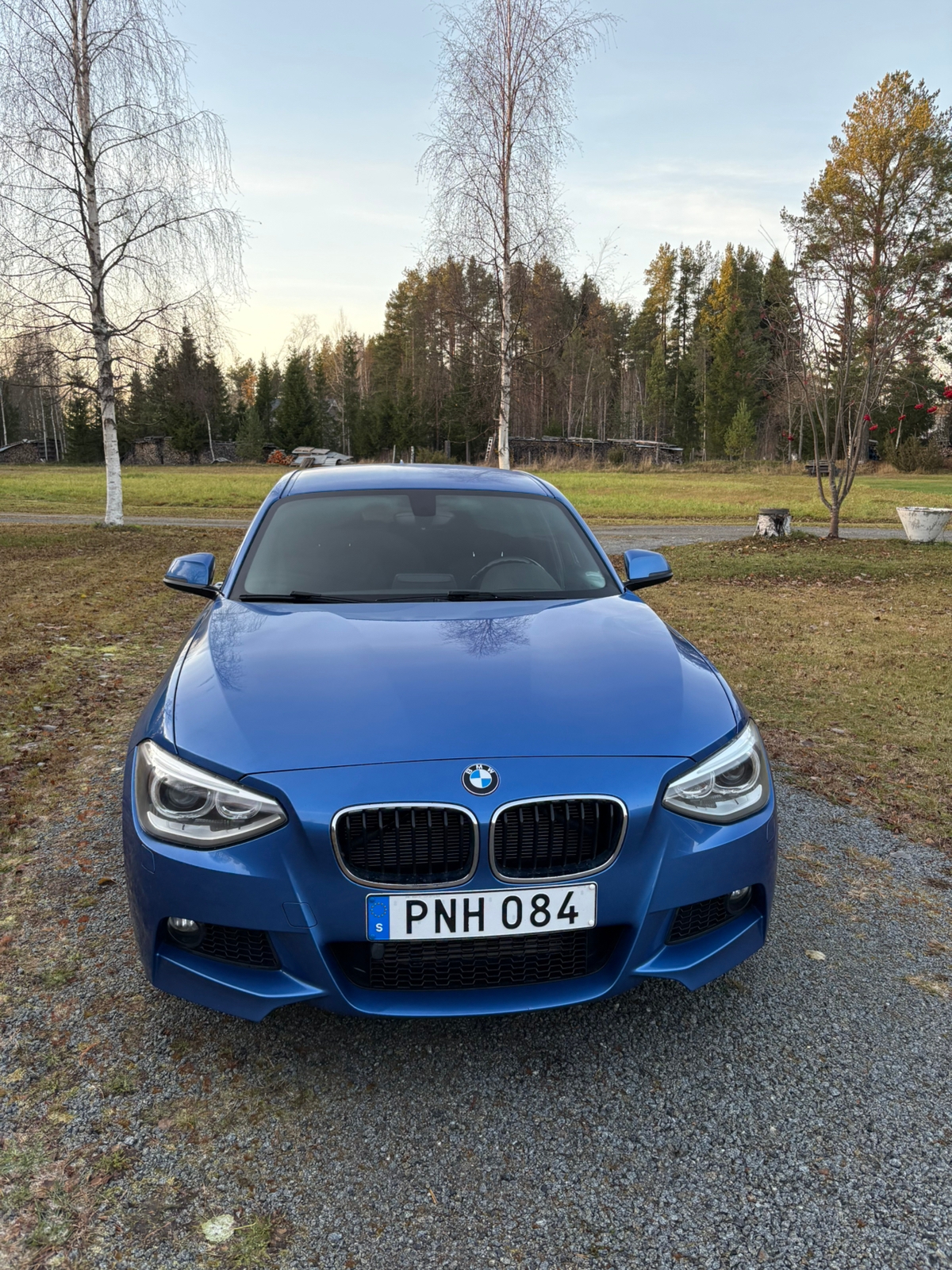 BMW 116i M Sport 2015, bild 2/10