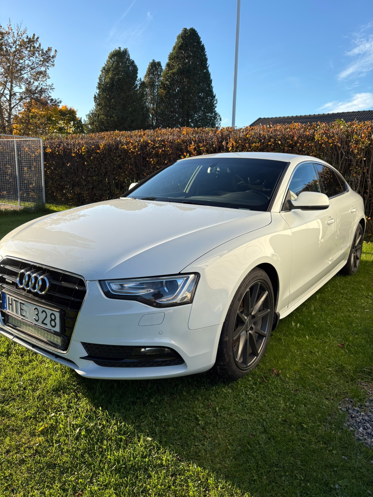 Audi A5 2013, kuva 6/6