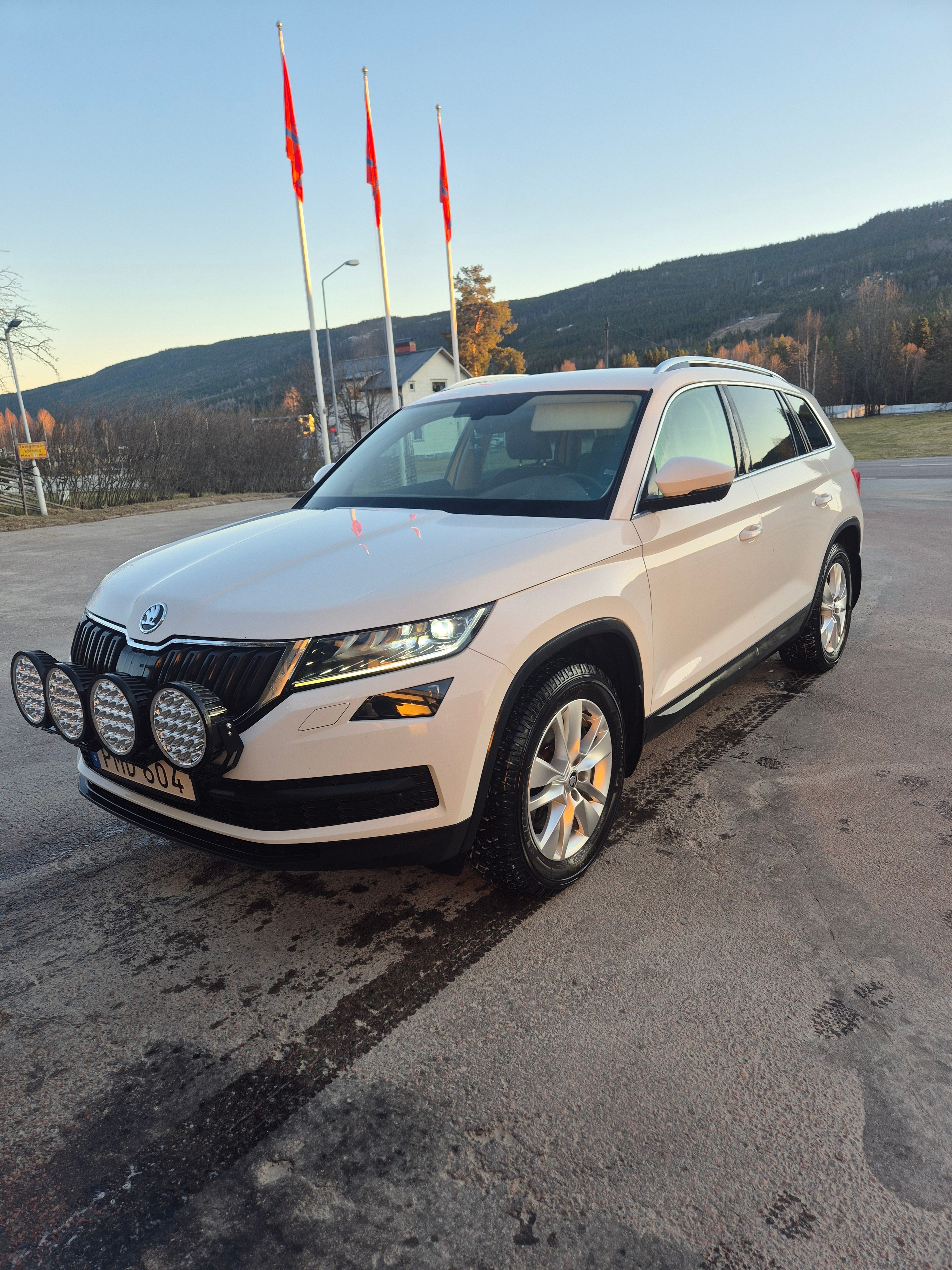 Skoda Kodiaq 2.0 TDI SCR 2018, kuva 9/9