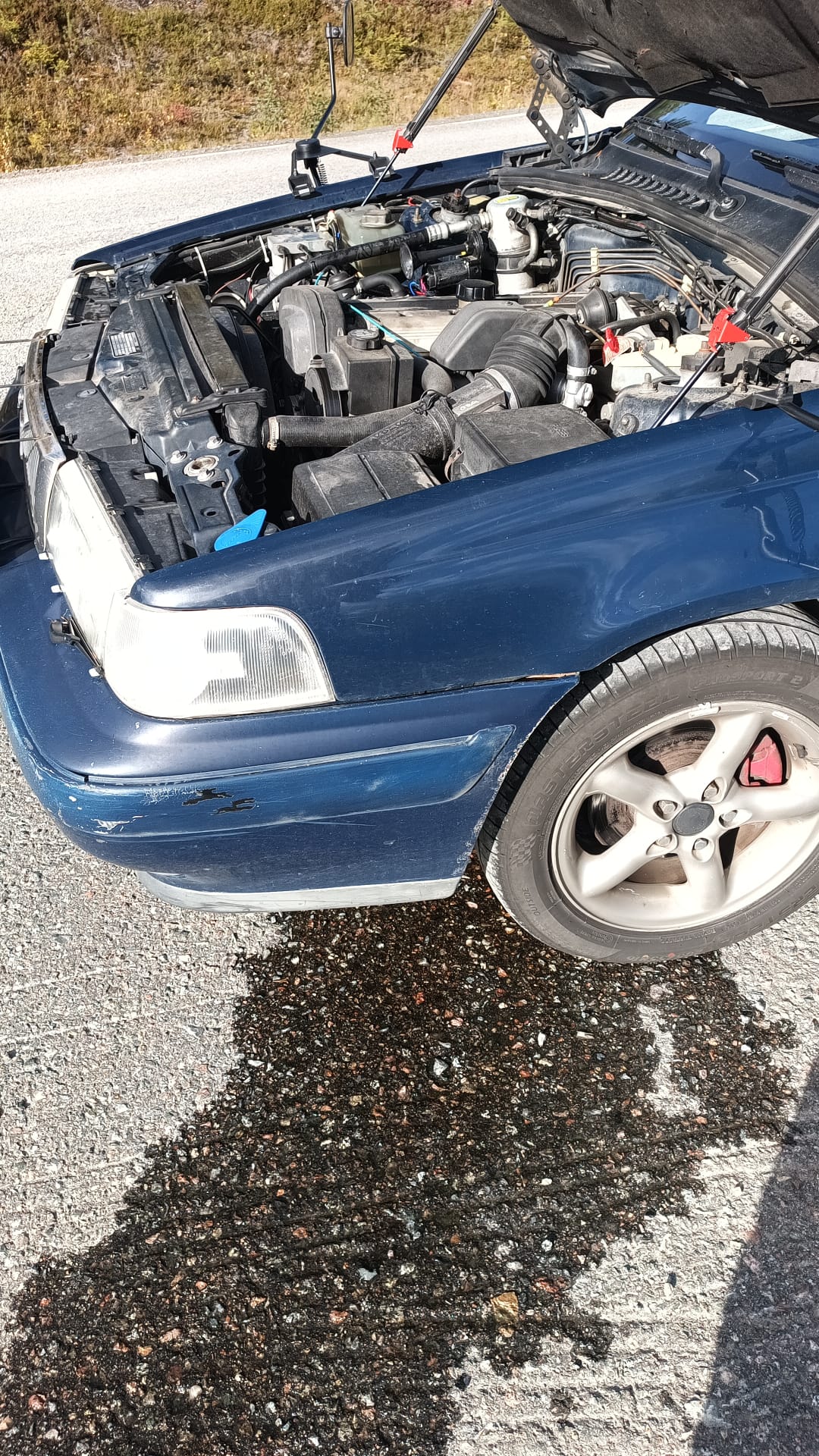 Volvo 960 1995, kuva 8/8