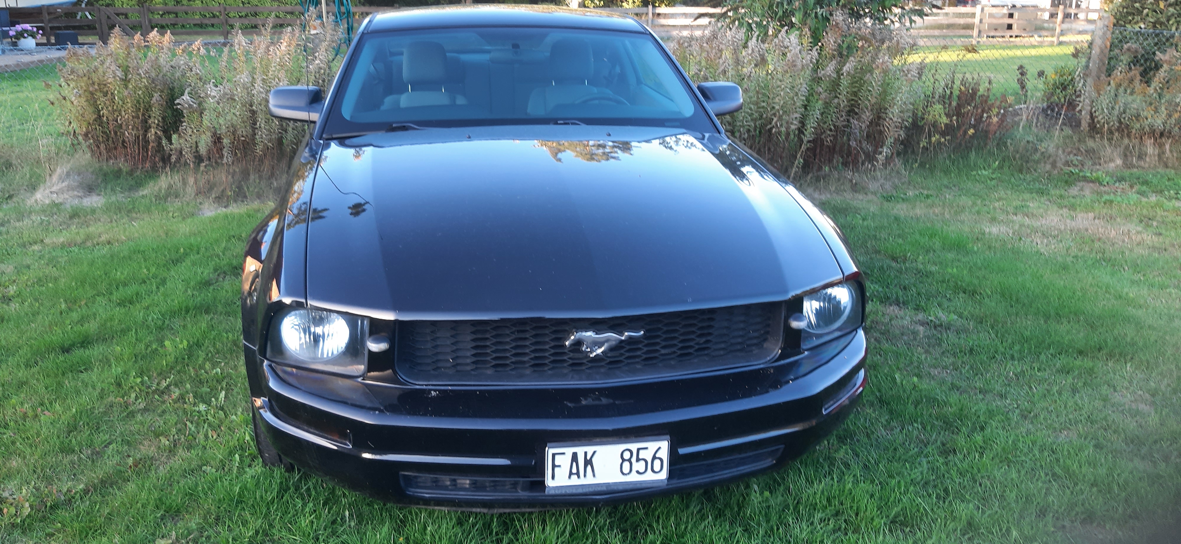 Ford Mustang V6 Manuell 2008, bild 2/5