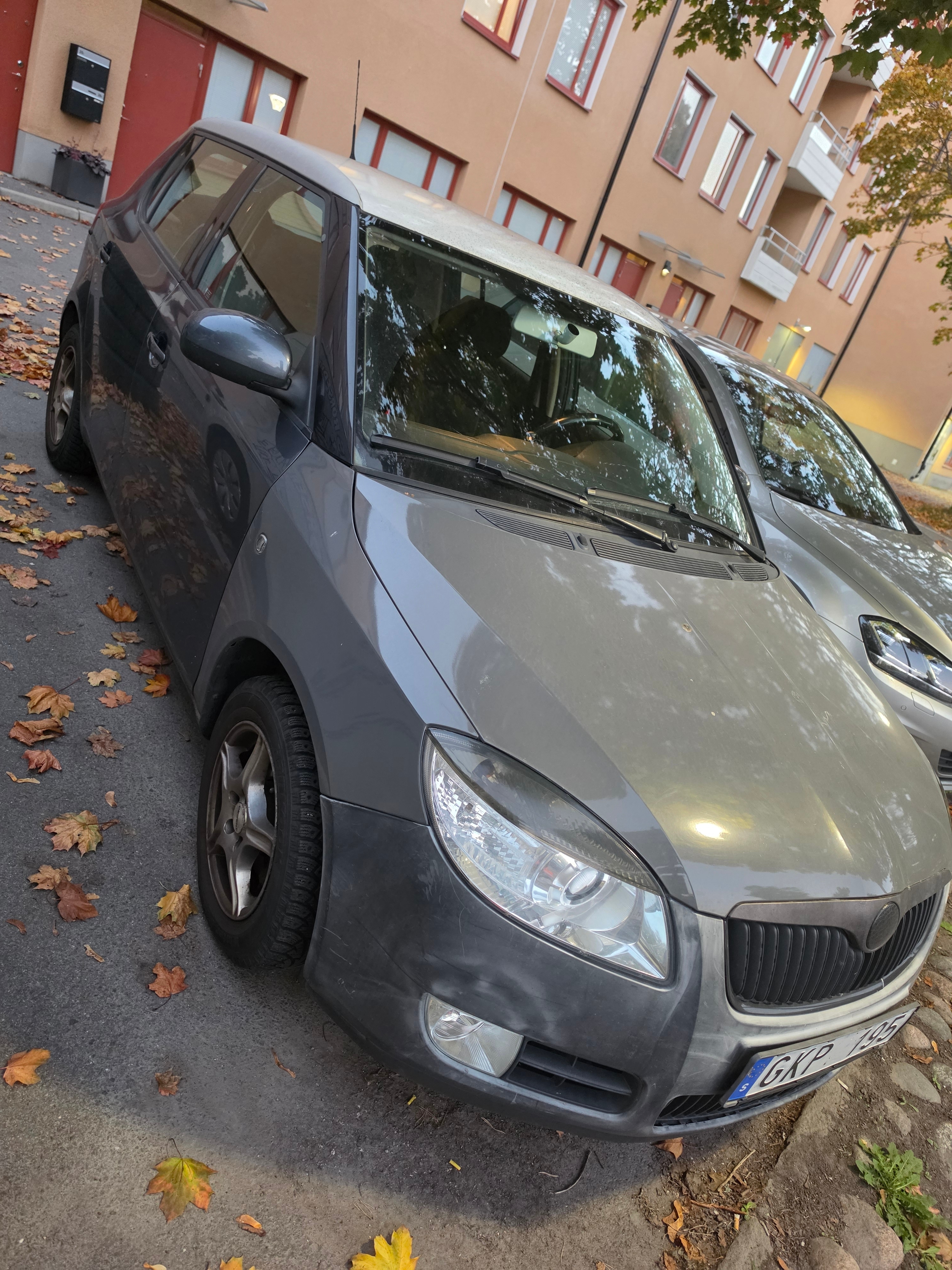 Skoda Fabia 1.6 Manuell 2008, bild 3/6