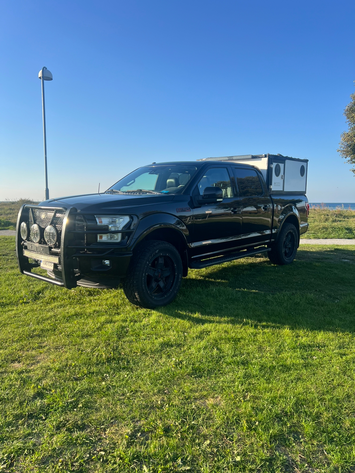 Ford F-150 2016, bild 2/10