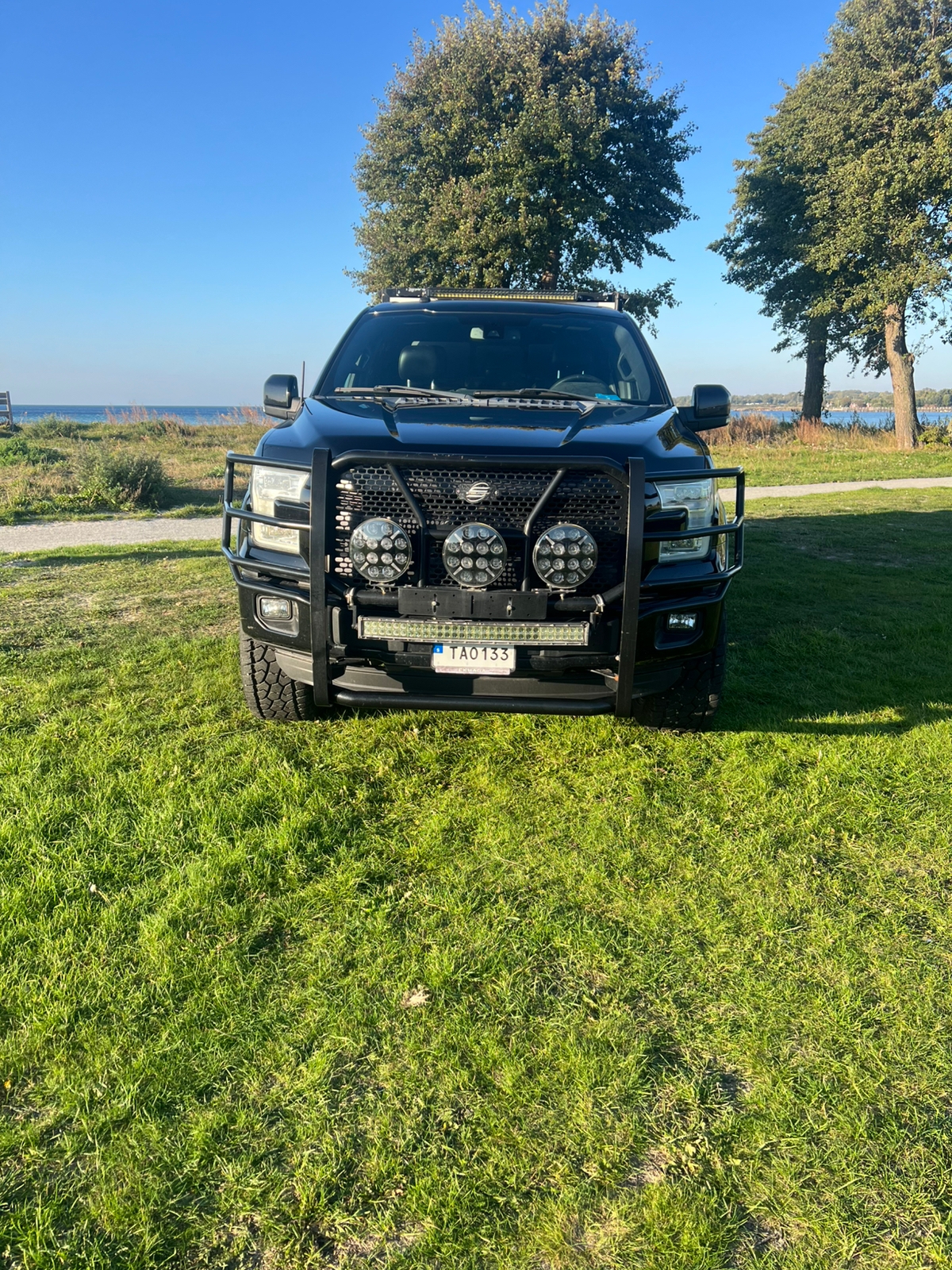 Ford F-150 2016, bild 5/10