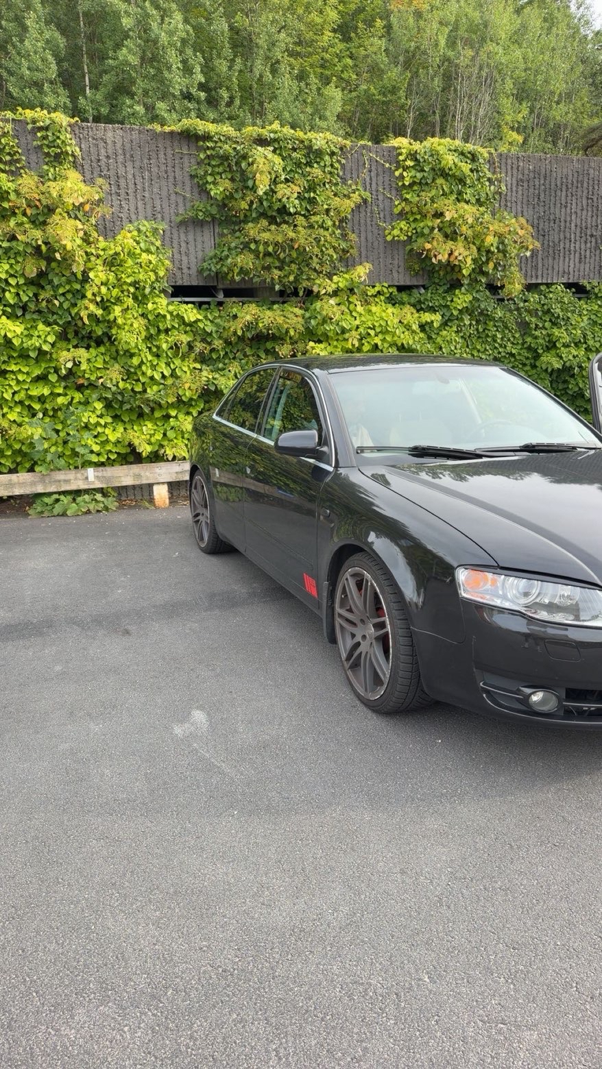 Audi A4 2.0 TFSI 2005, bild 3/4