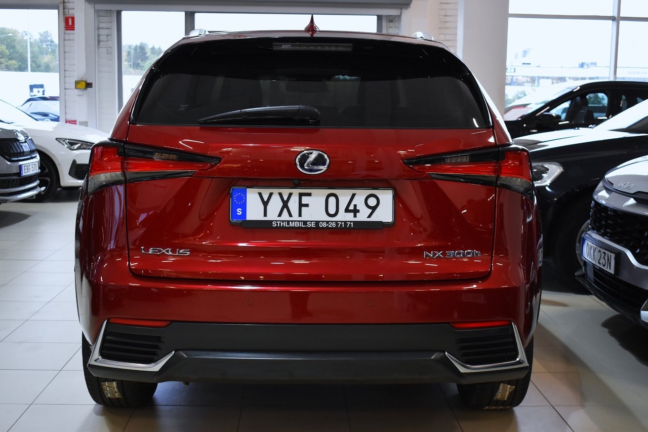 Lexus NX 2018, bild 4/10