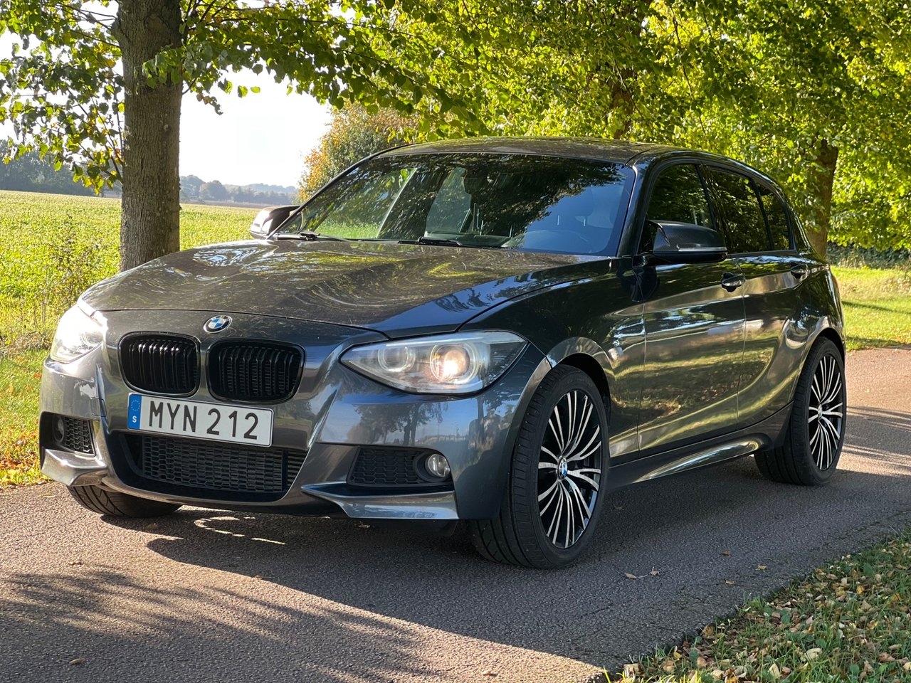 BMW 118d M Sport 2013, photo 2/10