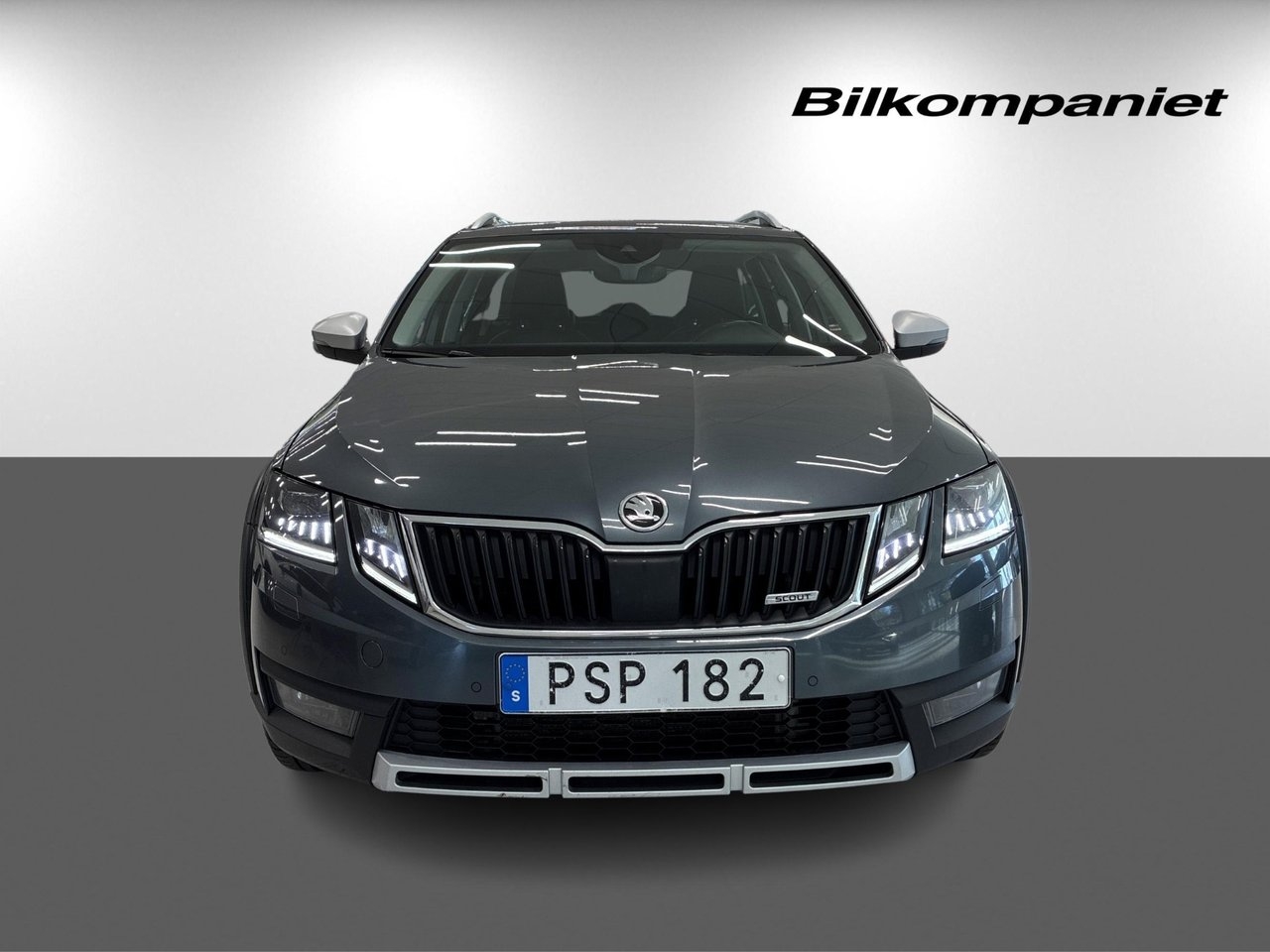 Skoda Octavia Scout 2.0 TDI 2019, bild 2/10