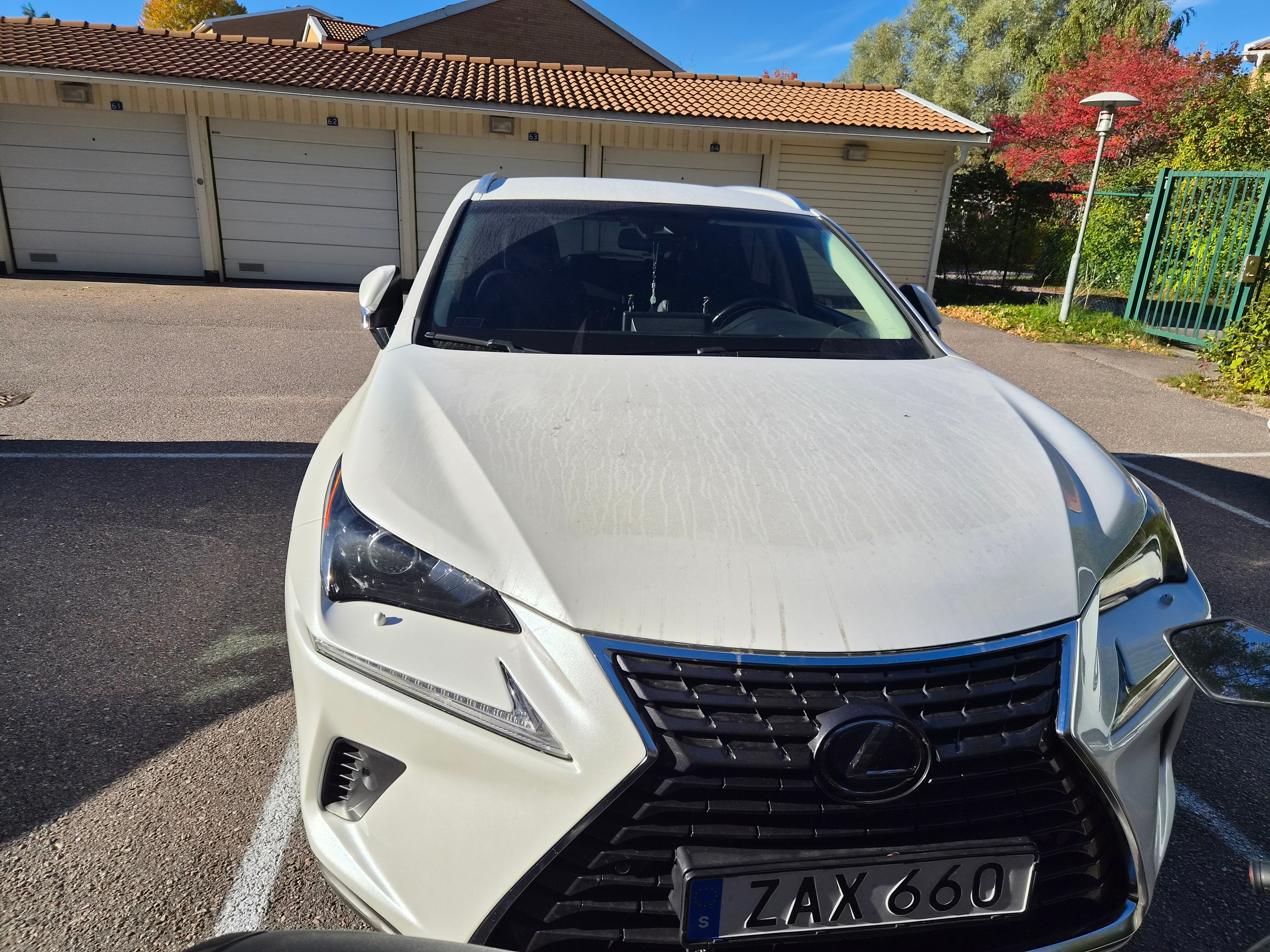 Lexus NX 300h AWD 2.5 AWD E-CVT 2018, bild 4/10