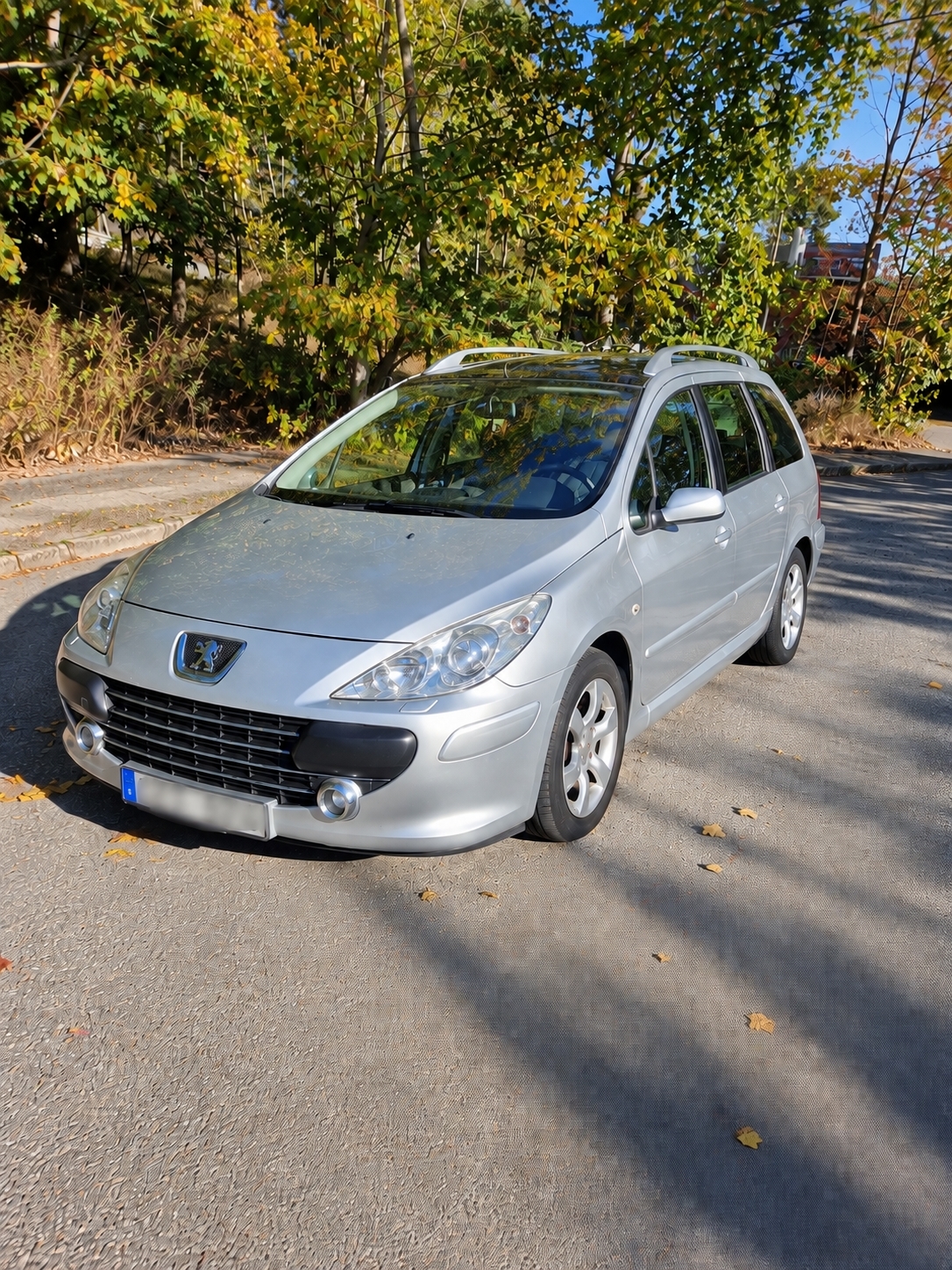 Peugeot 307 SW 2.0 2007, bild 2/10
