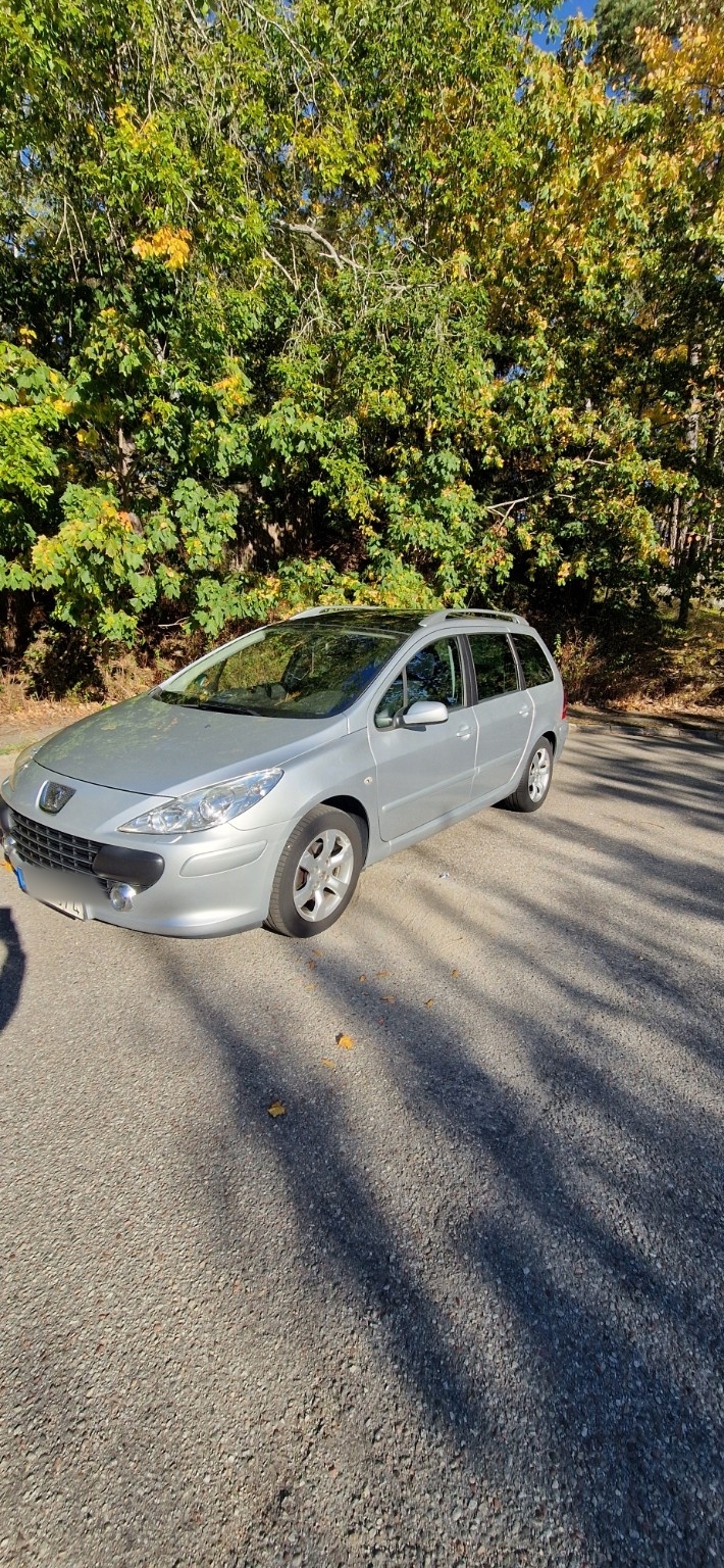 Peugeot 307 SW 2.0 2007, bild 3/10