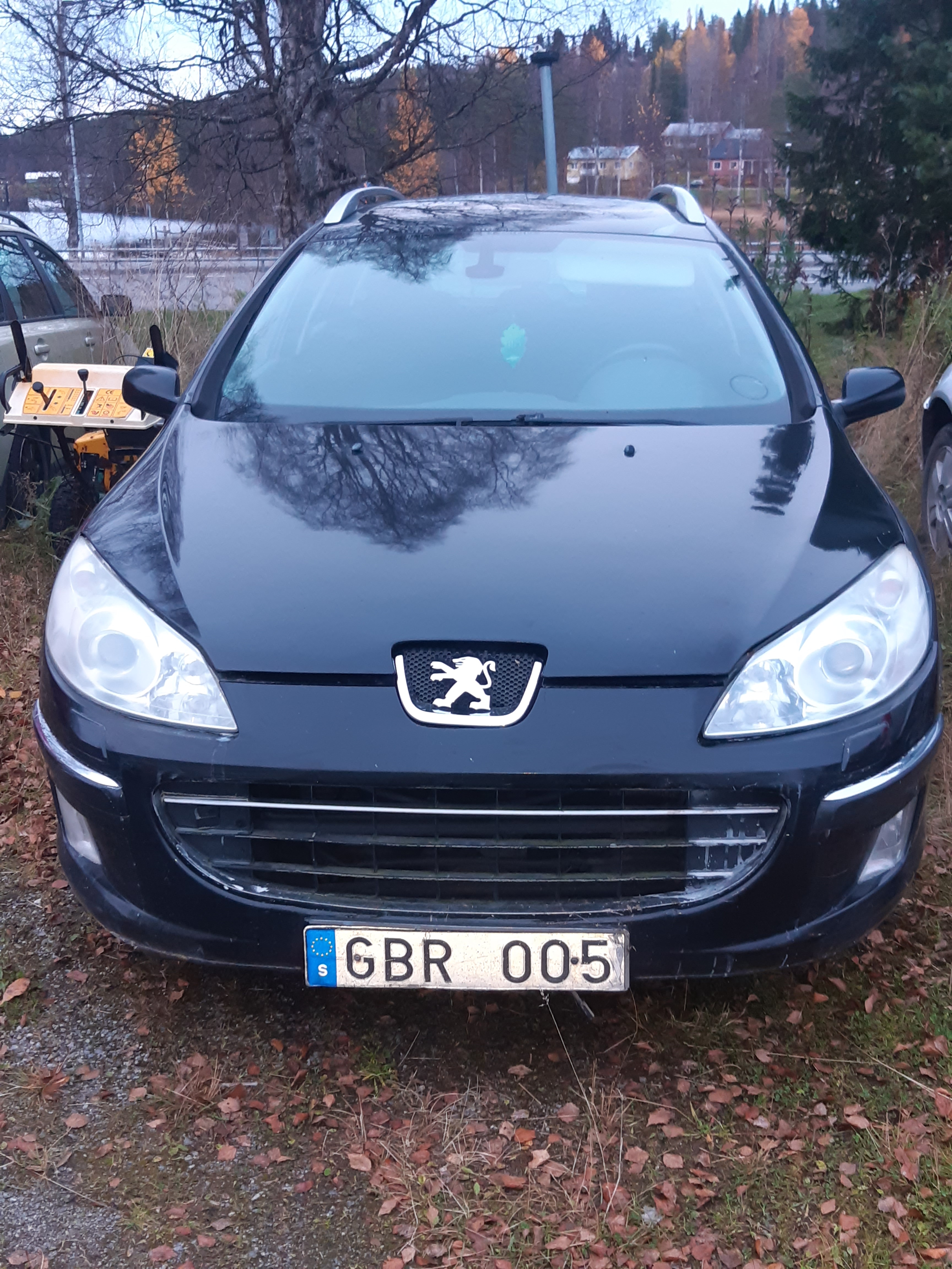 Peugeot 407 HDi FAP 110 DPF 2008, bild 3/4