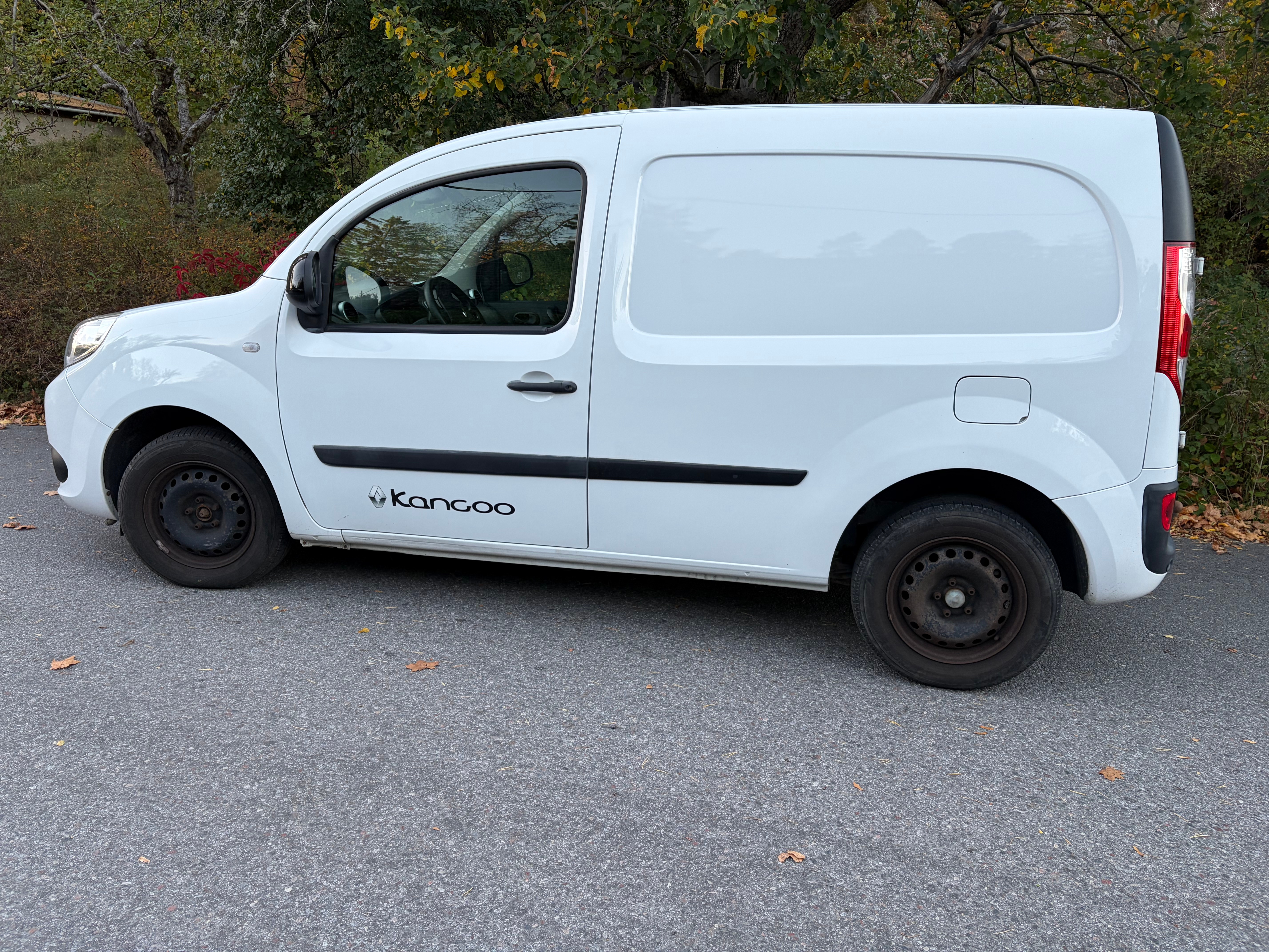 Renault Kangoo Express