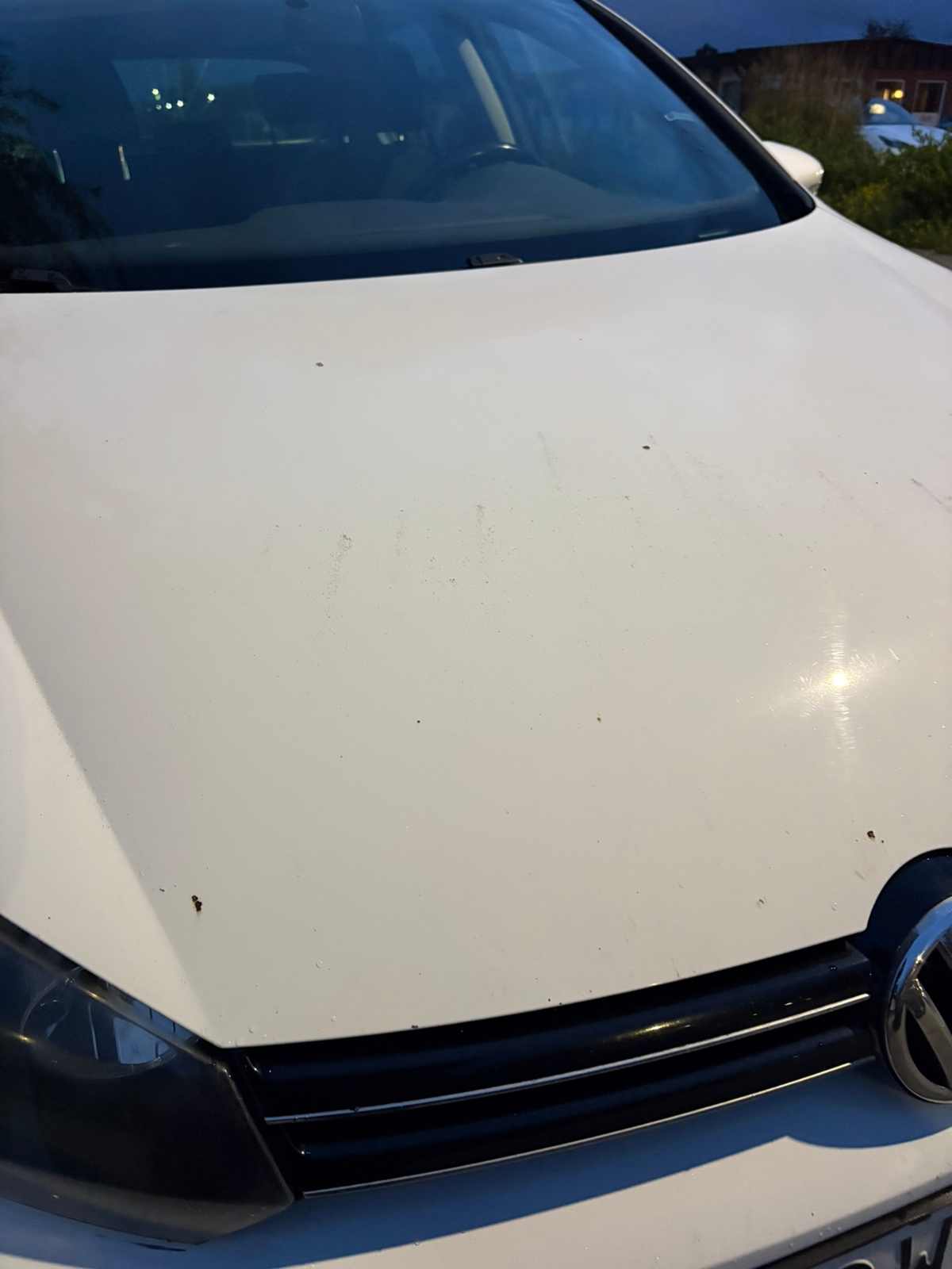 Volkswagen Golf 1.6 TDI 2011, bild 5/5