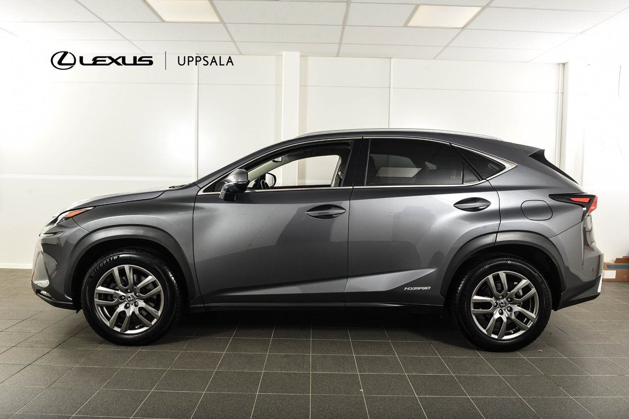 Lexus NX 300h AWD Executive Drag 2018, bild 2/10