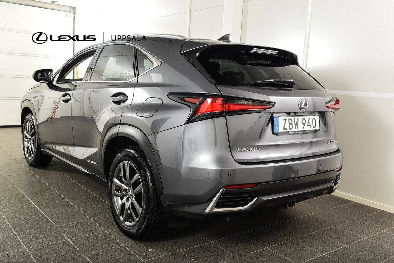 Lexus NX 300h AWD Executive Drag 2018, bild 3/10