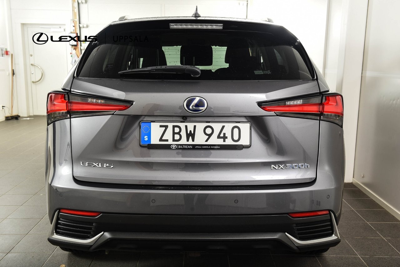 Lexus NX 300h AWD Executive Drag 2018, bild 4/10