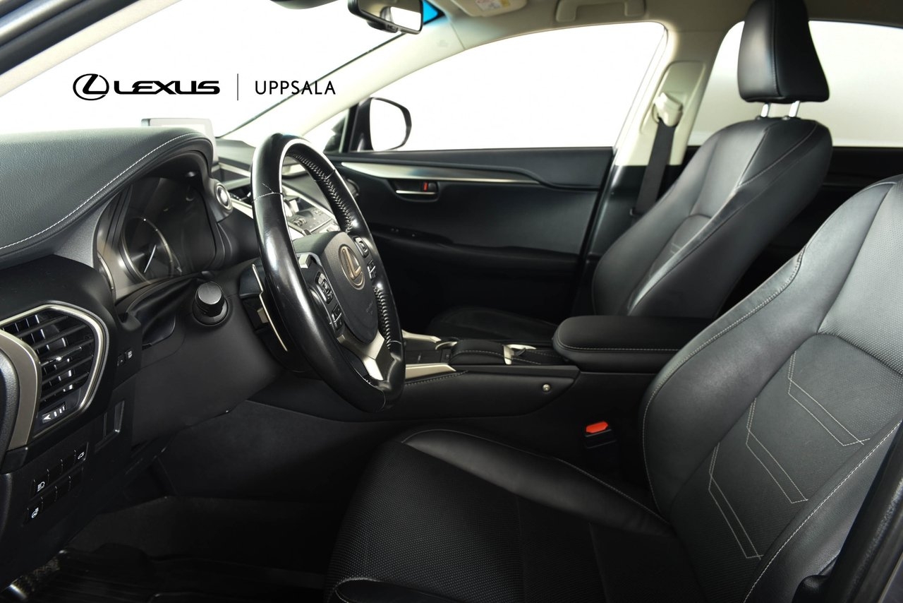 Lexus NX 300h AWD Executive Drag 2018, bild 6/10
