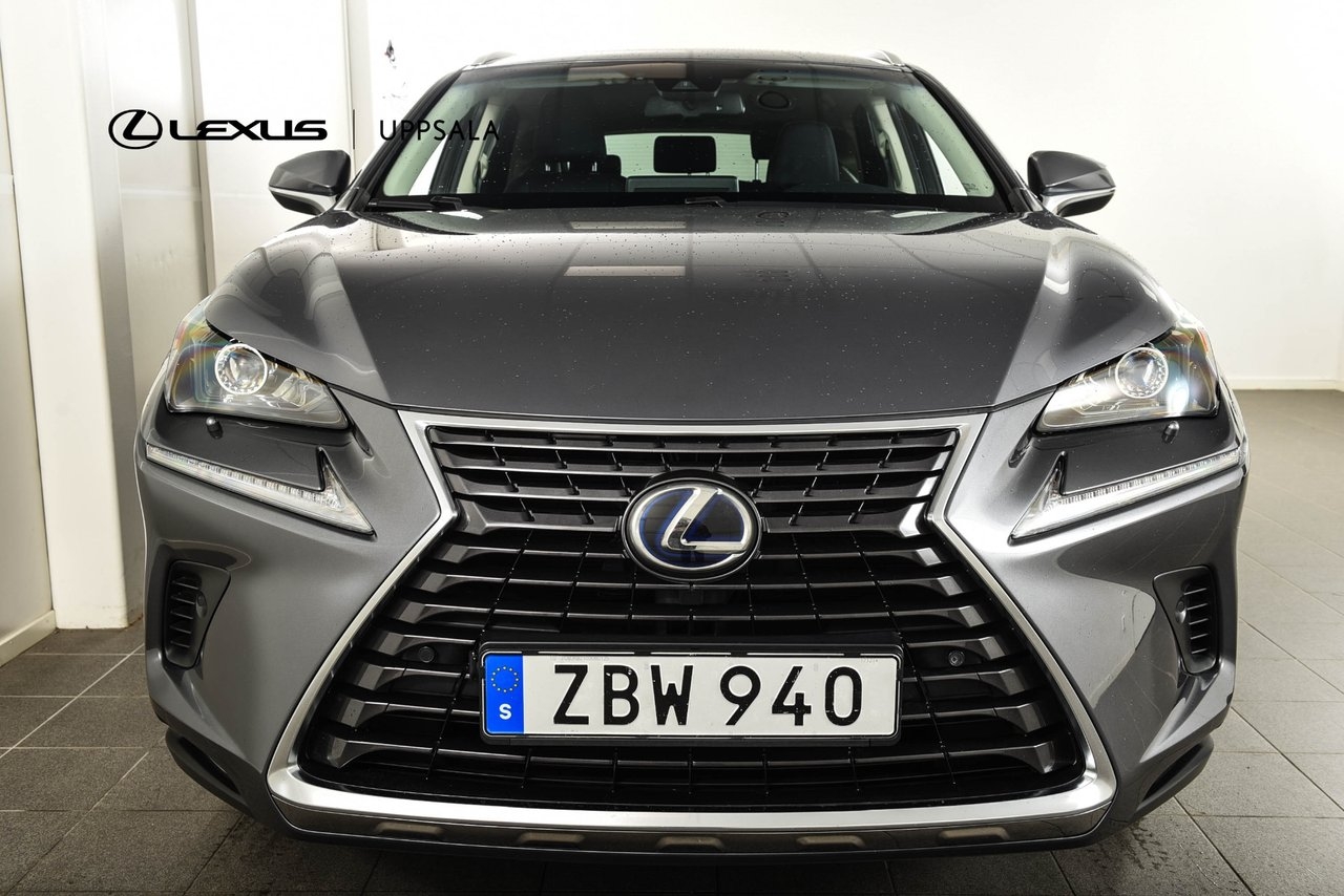 Lexus NX 300h AWD Executive Drag 2018, bild 5/10